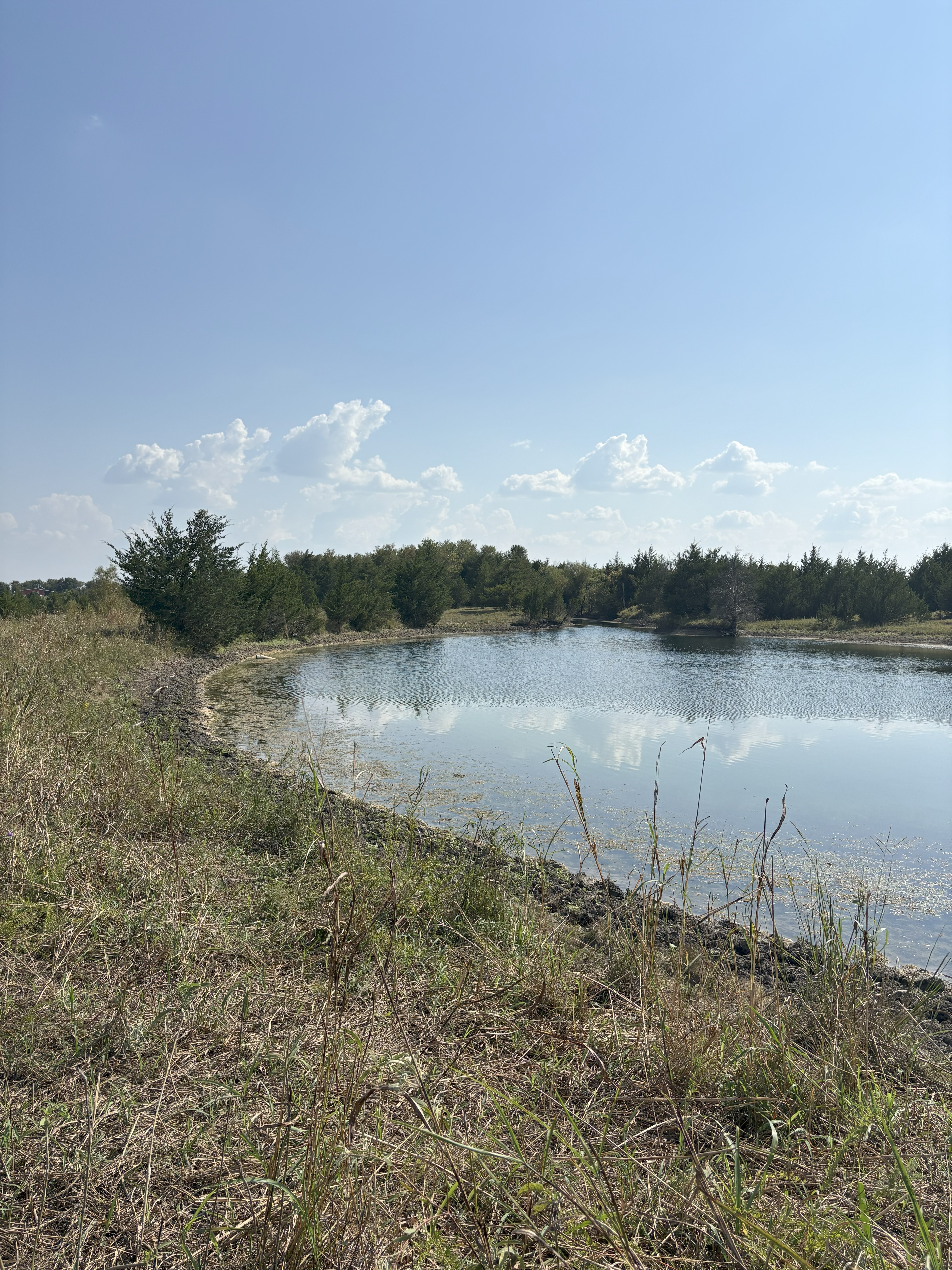 Roxton, Texas, 75477, United States, ,Land,For Sale,1979032