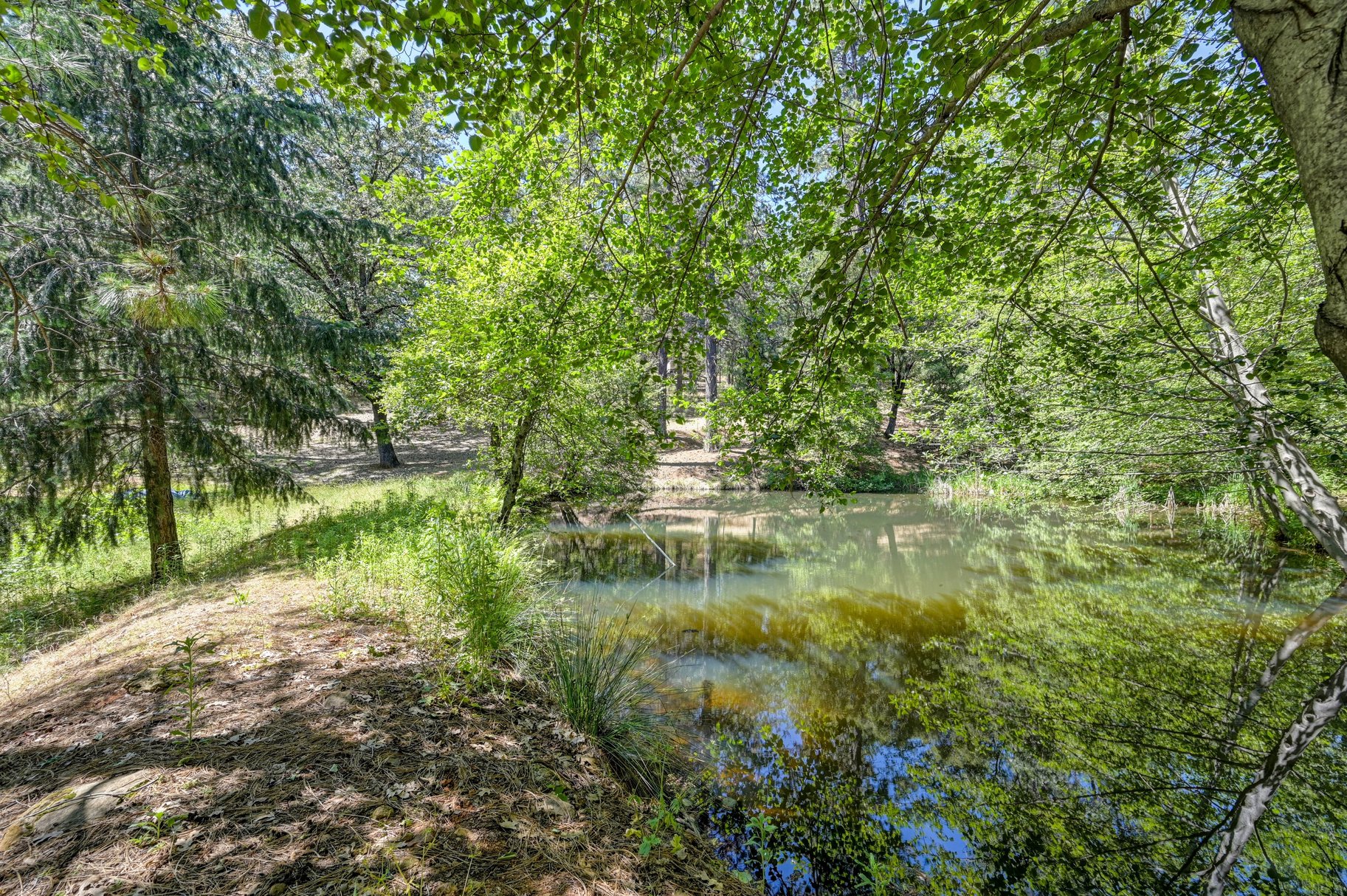  Immaculately Maintained Country Retreat on Acreage with pond - 物件實景