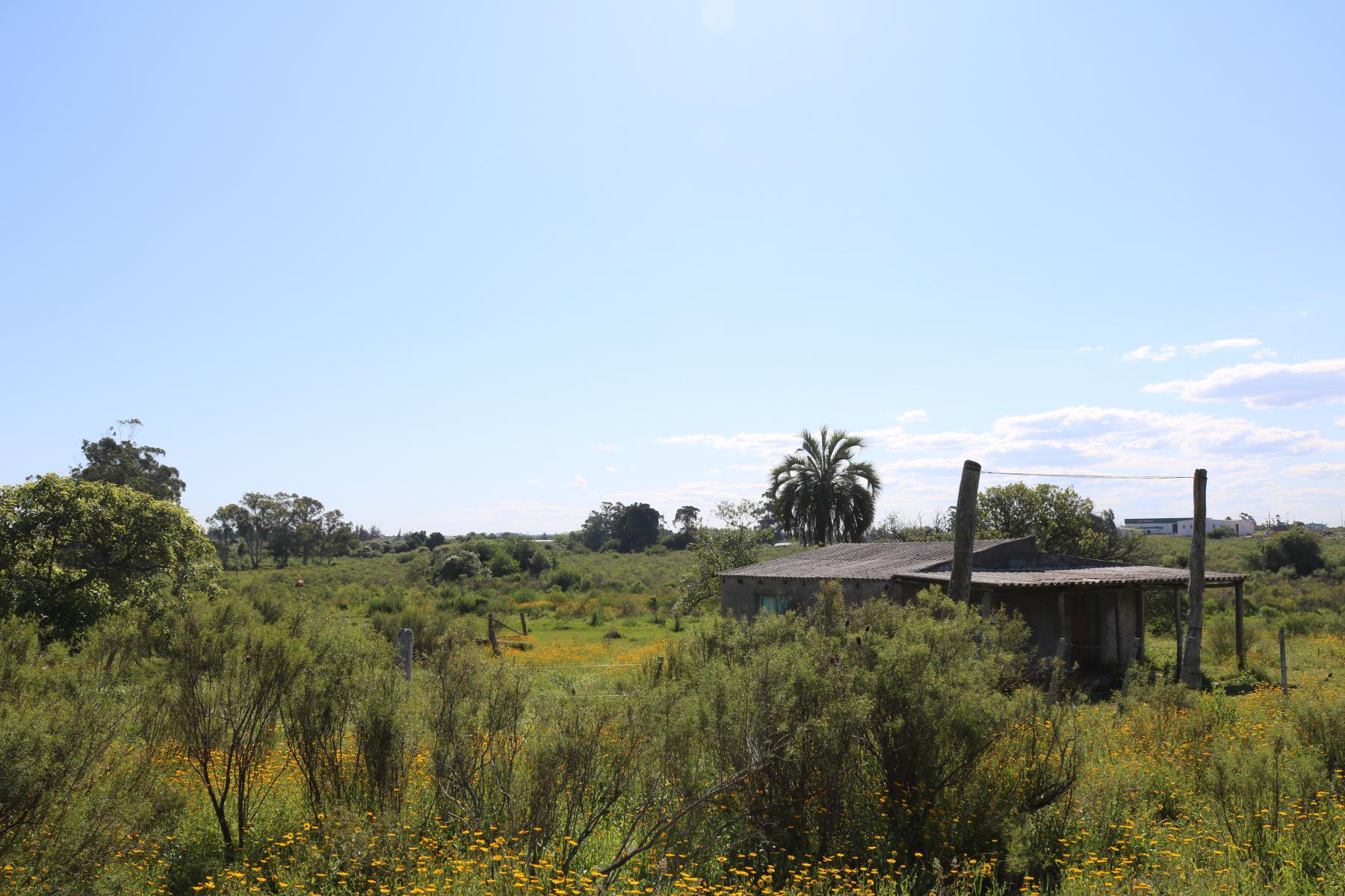  Large urban plot just steps from the city of Rocha. - 物件實景