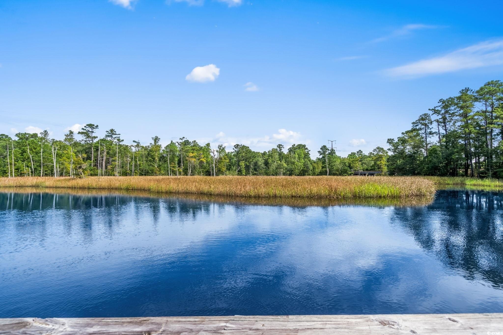 Georgetown, South Carolina, 29440, United States, 3 Bedrooms Bedrooms, ,3 BathroomsBathrooms,Residential,For Sale,1981900