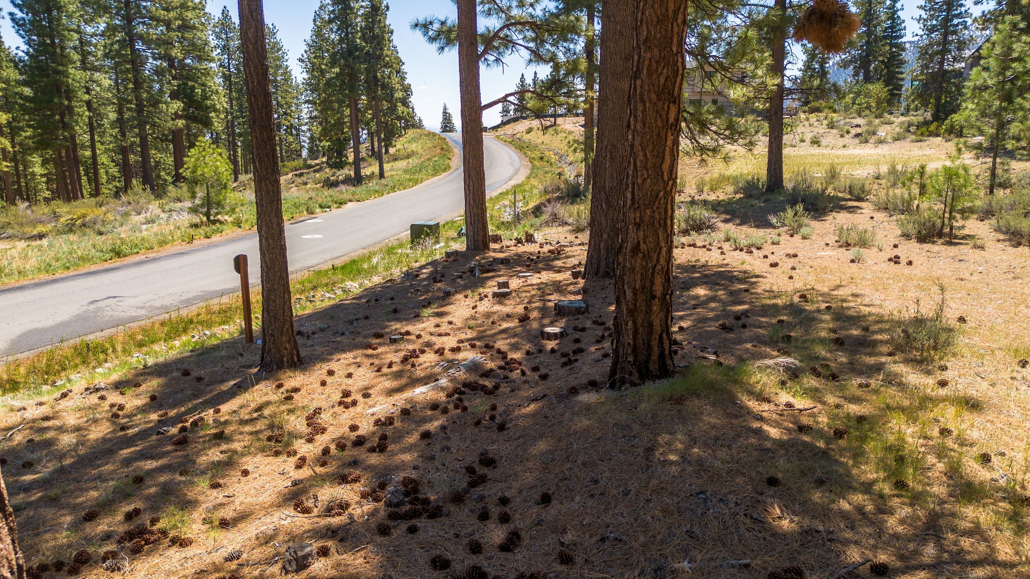  Two Extraordinary Pieces of Land in Clear Creek Tahoe - 物件實景