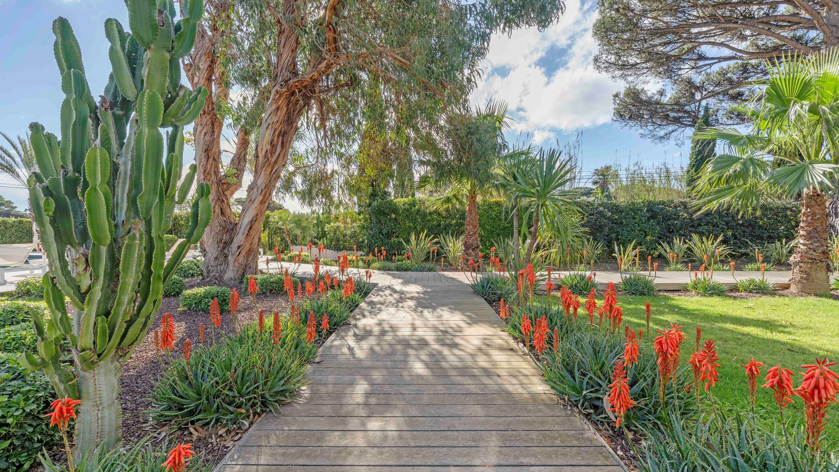  Ramatuelle Pampelonne villa 162 sqm vineyard land 7130 sqm pool near beach - 物件實景