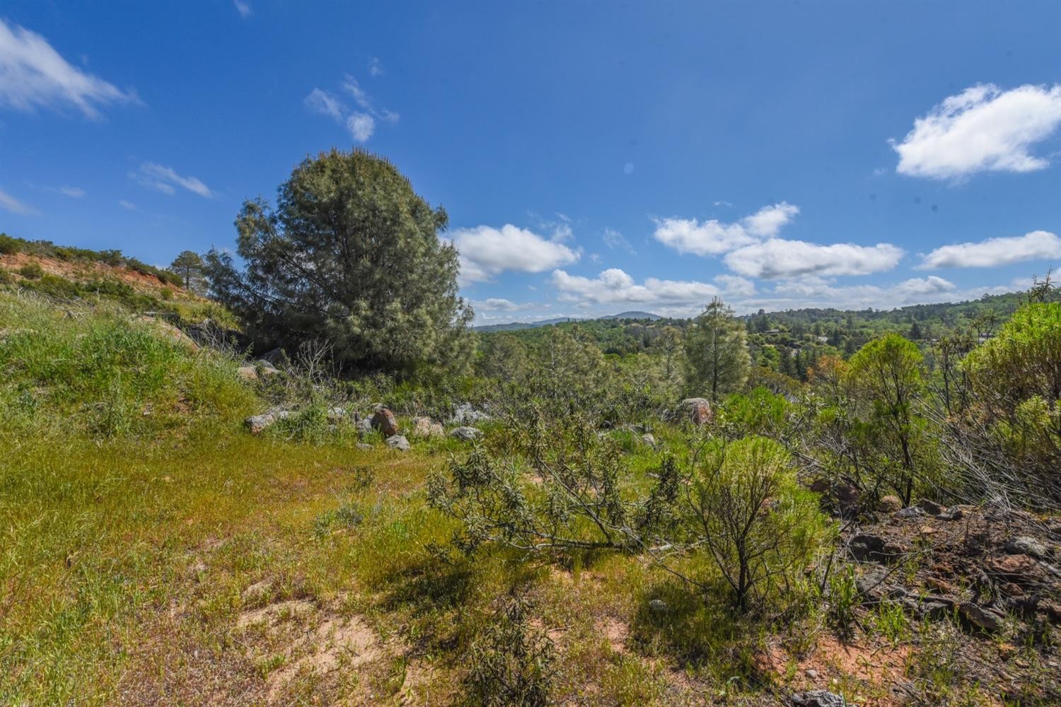 15880 Parkridge Avenue, Sonora, California, 95370, United States, ,Land,For Sale,15880 Parkridge Avenue,1432532