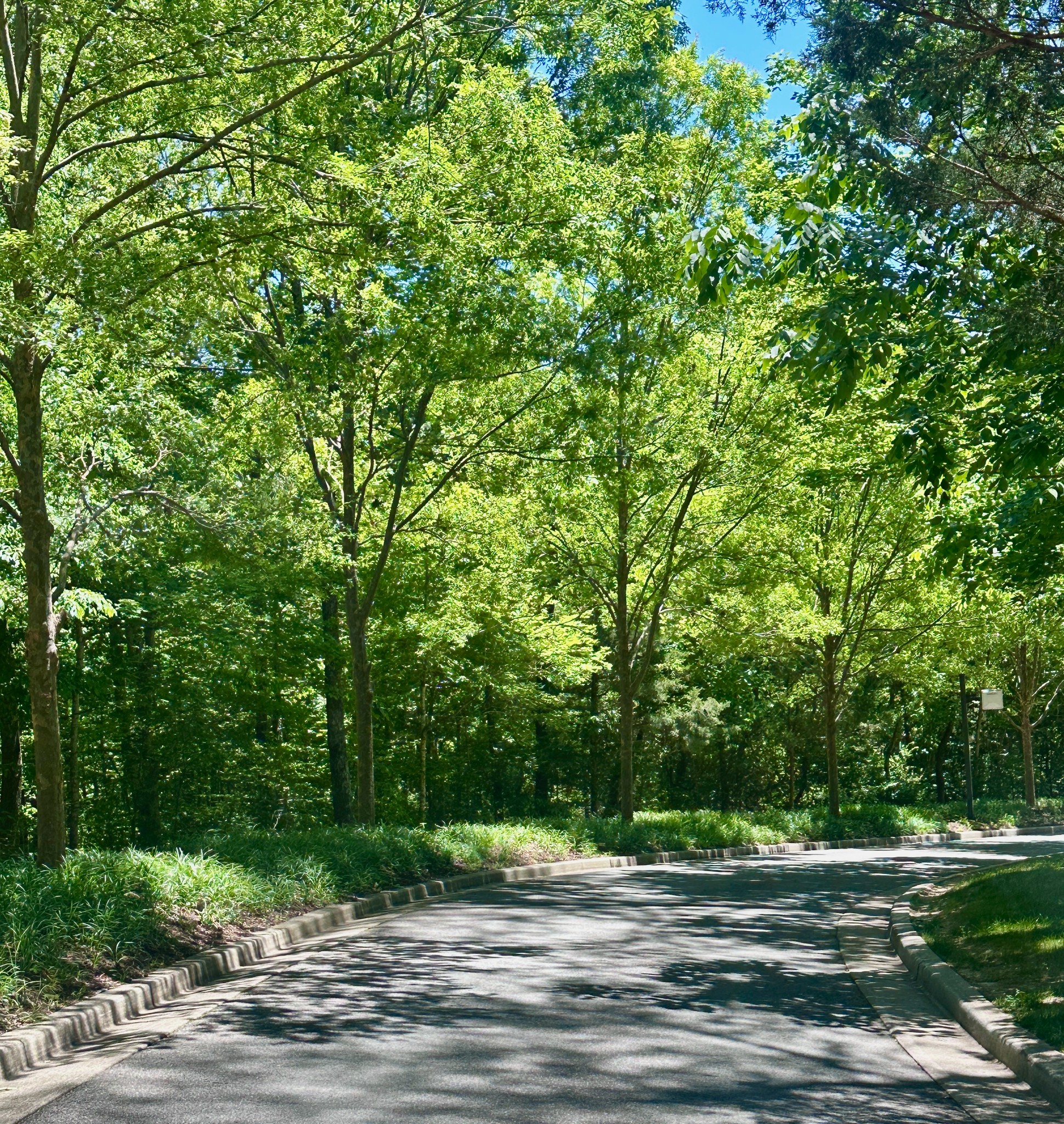  1011 Champion Hills Dr, Kingston Springs, TN, 37082 - 物件實景