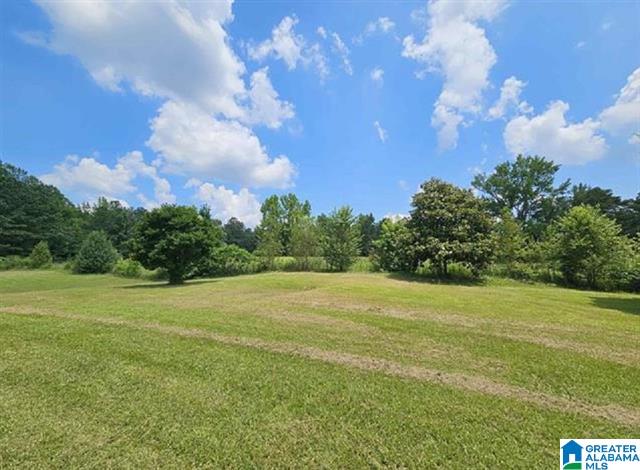 Odenville, Alabama, 35120, United States, 5 Bedrooms Bedrooms, ,5 BathroomsBathrooms,Residential,For Sale,1975337