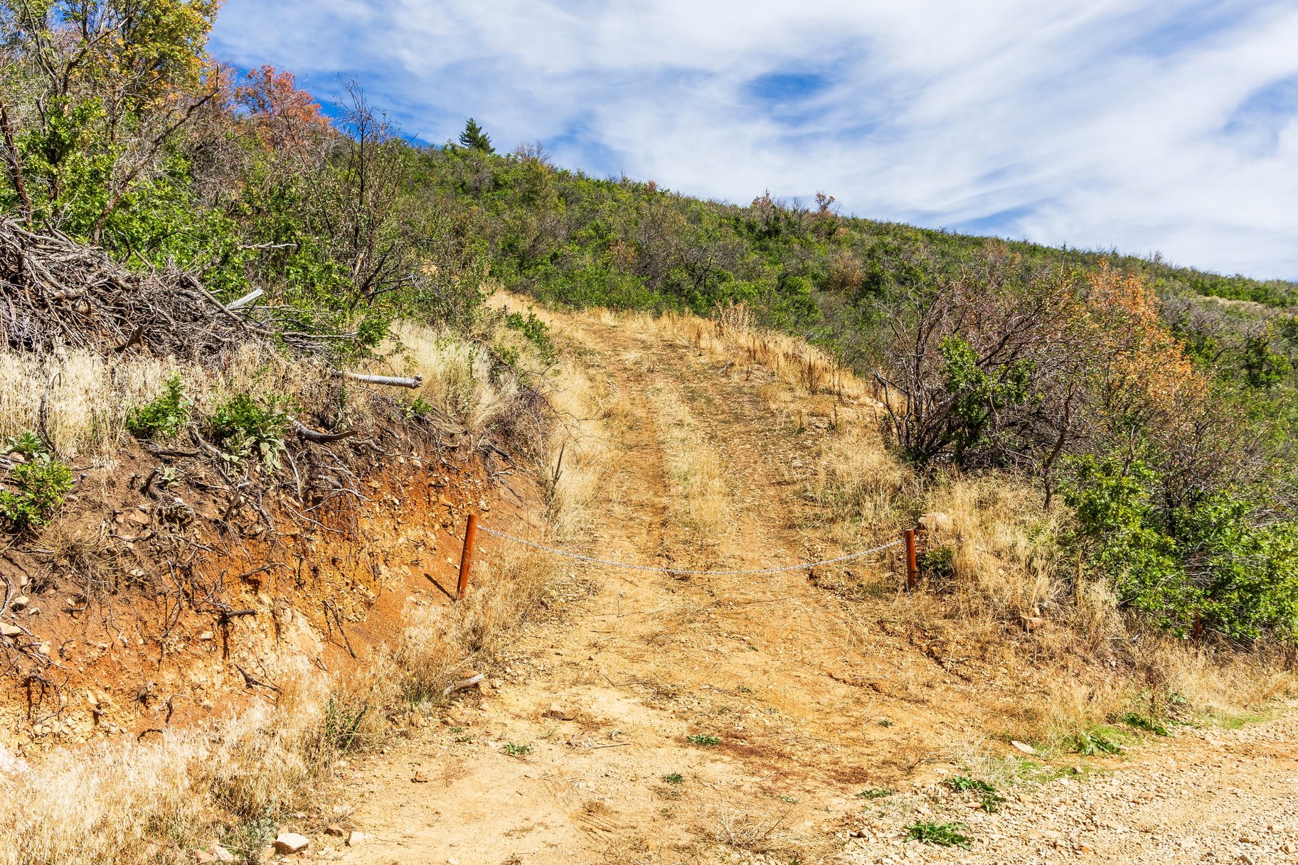  Unobstructed Panoramic Views on this 15+ Acre Homesite with No CCRs - 物件實景