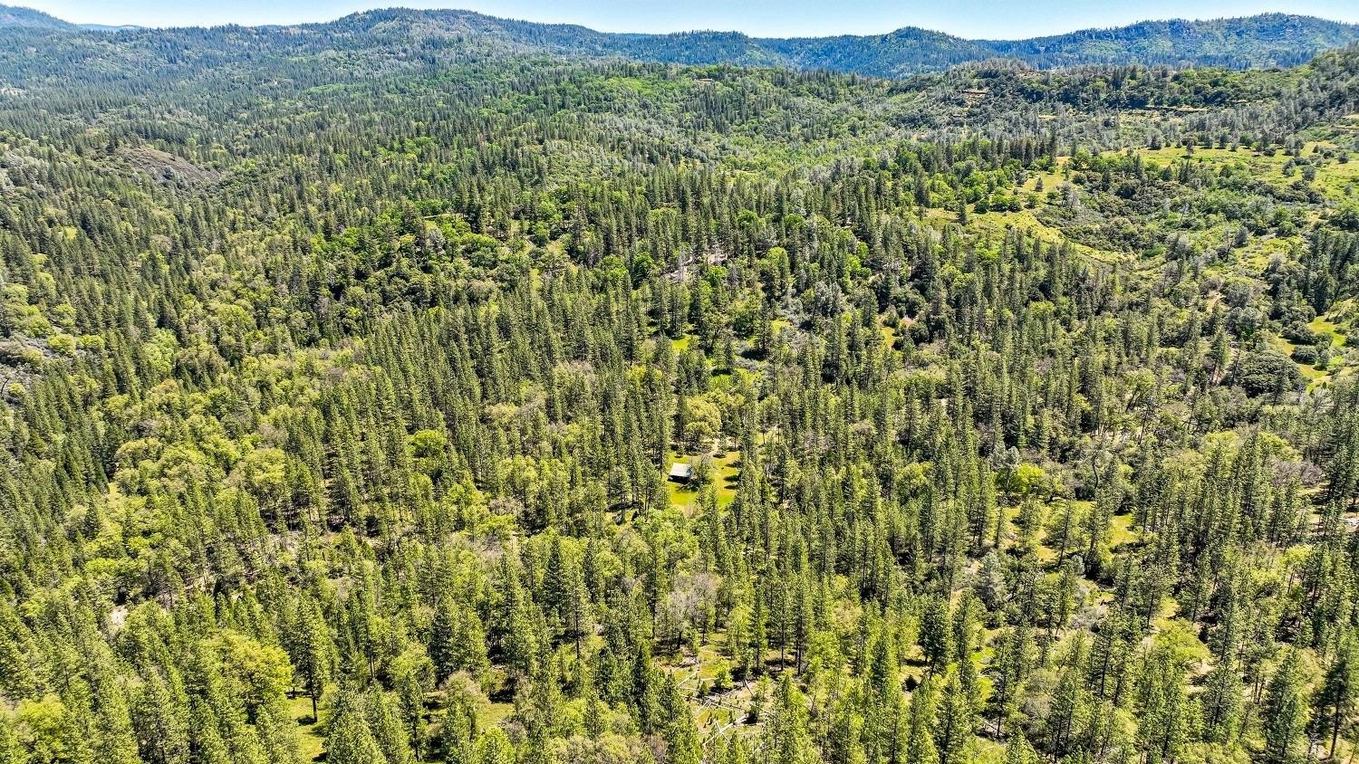 Mountain Ranch, California, 95246, United States, 1 Bedroom Bedrooms, ,1 BathroomBathrooms,Residential,For Sale,1921601