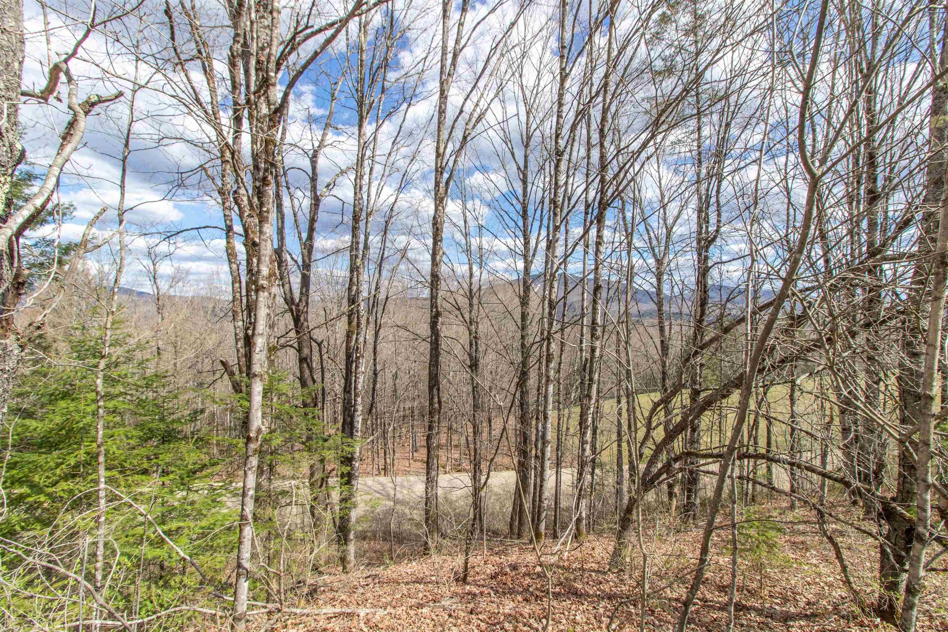 Burke, Vermont, 05832, United States, ,Land,For Sale,2041867