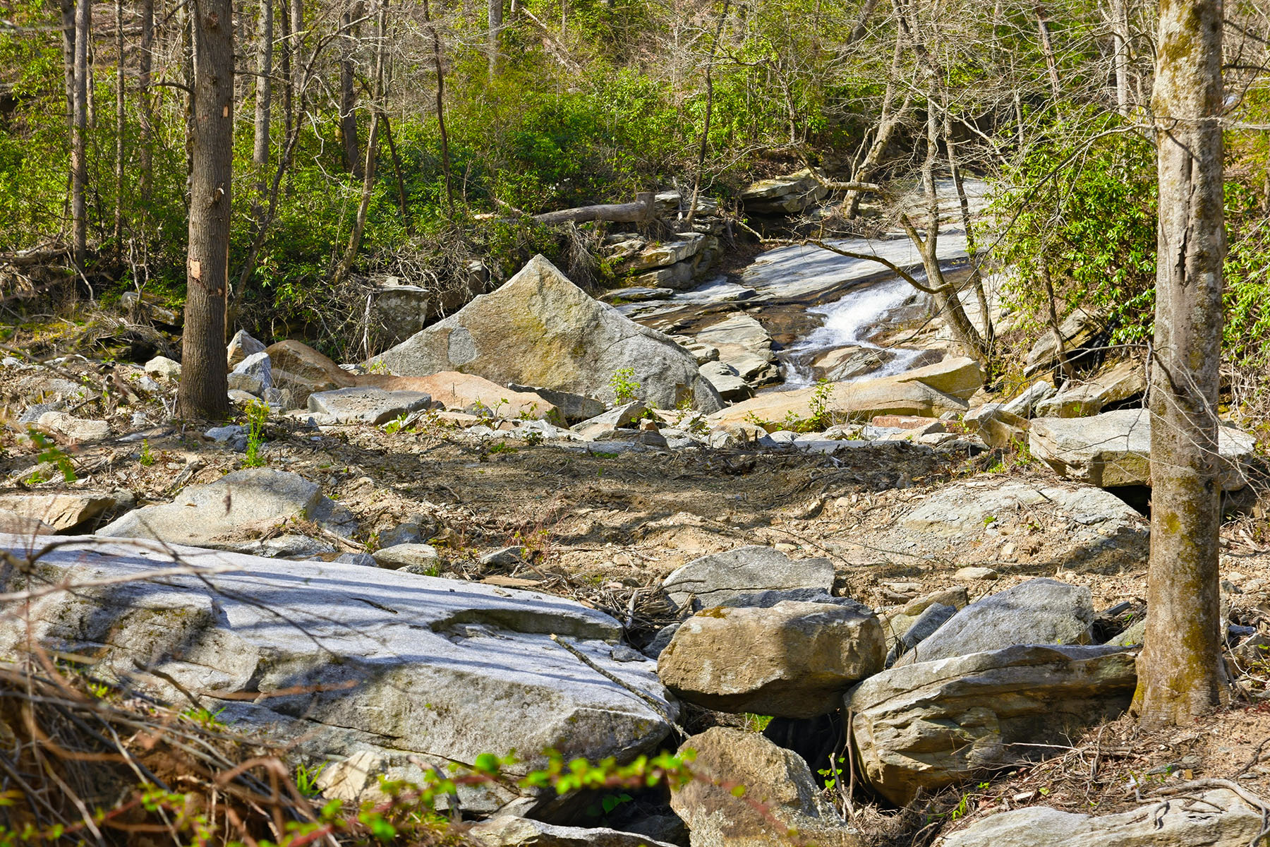  HENDERSONVILLE - 物件實景