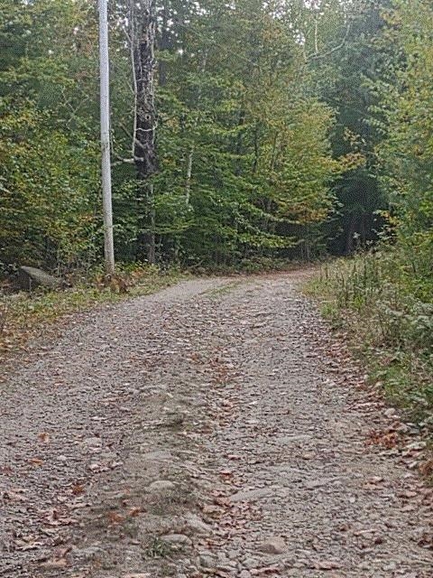 Farmington, New Hampshire, 03835, United States, ,Residential,For Sale,1845951