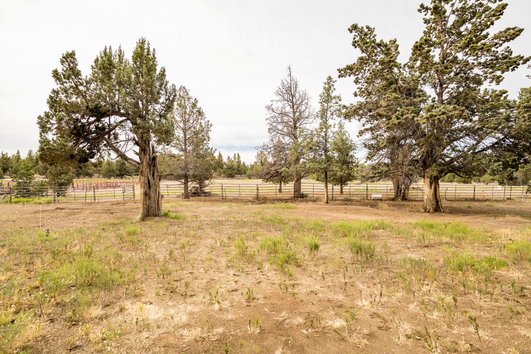  22305 Neff Road Bend, OR 97701 - 物件實景