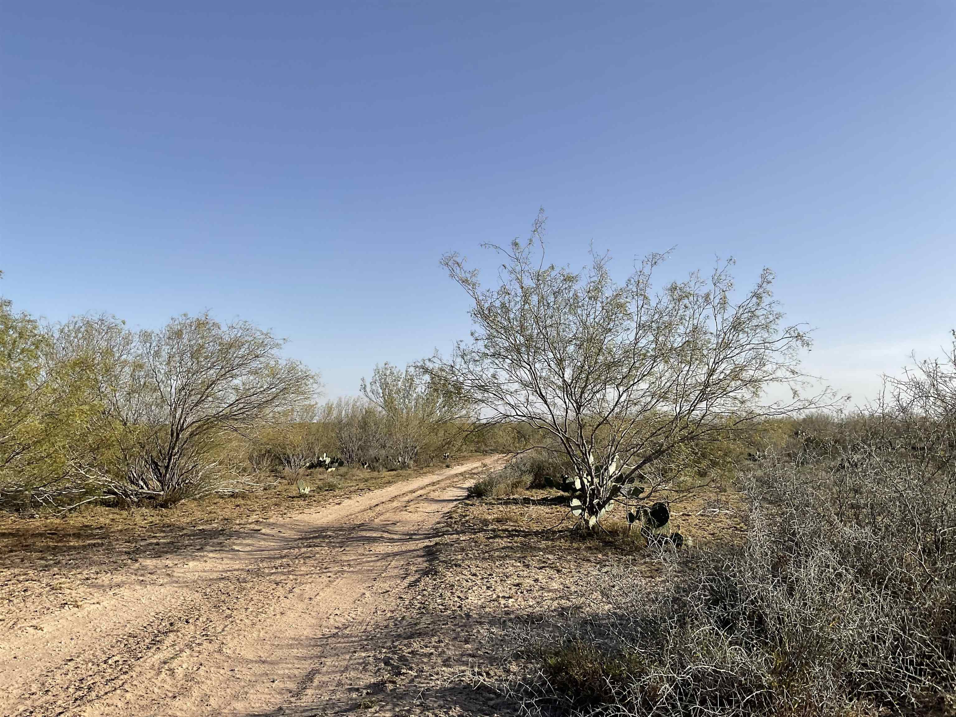 Laredo, Texas, 78046, United States, ,Land,For Sale,1877626