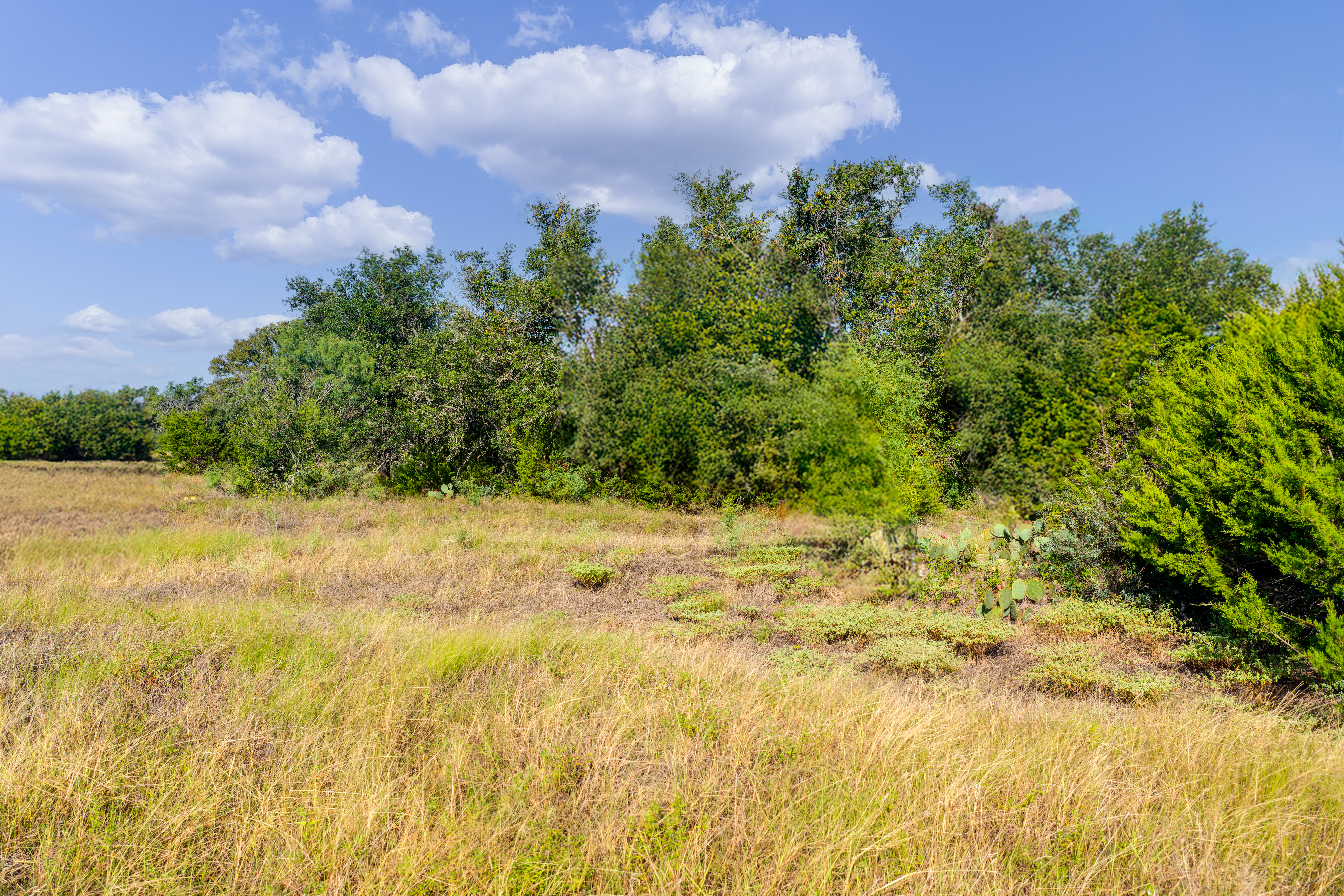  7994 W U.S. Highway 290, Johnson City, TX 78636 - 物件實景