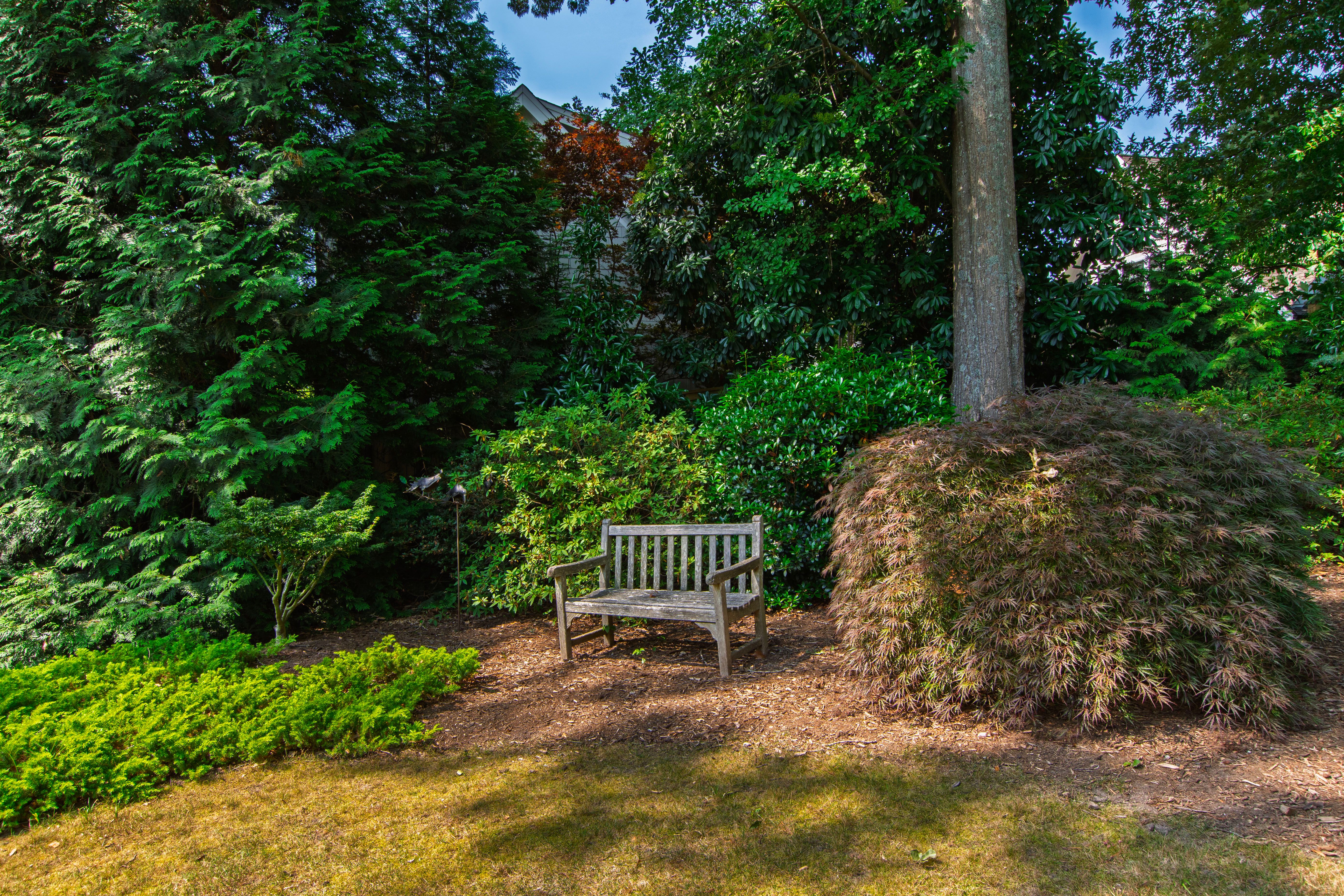  2751 Toxey Drive, Raleigh, NC, 27609 - 物件實景