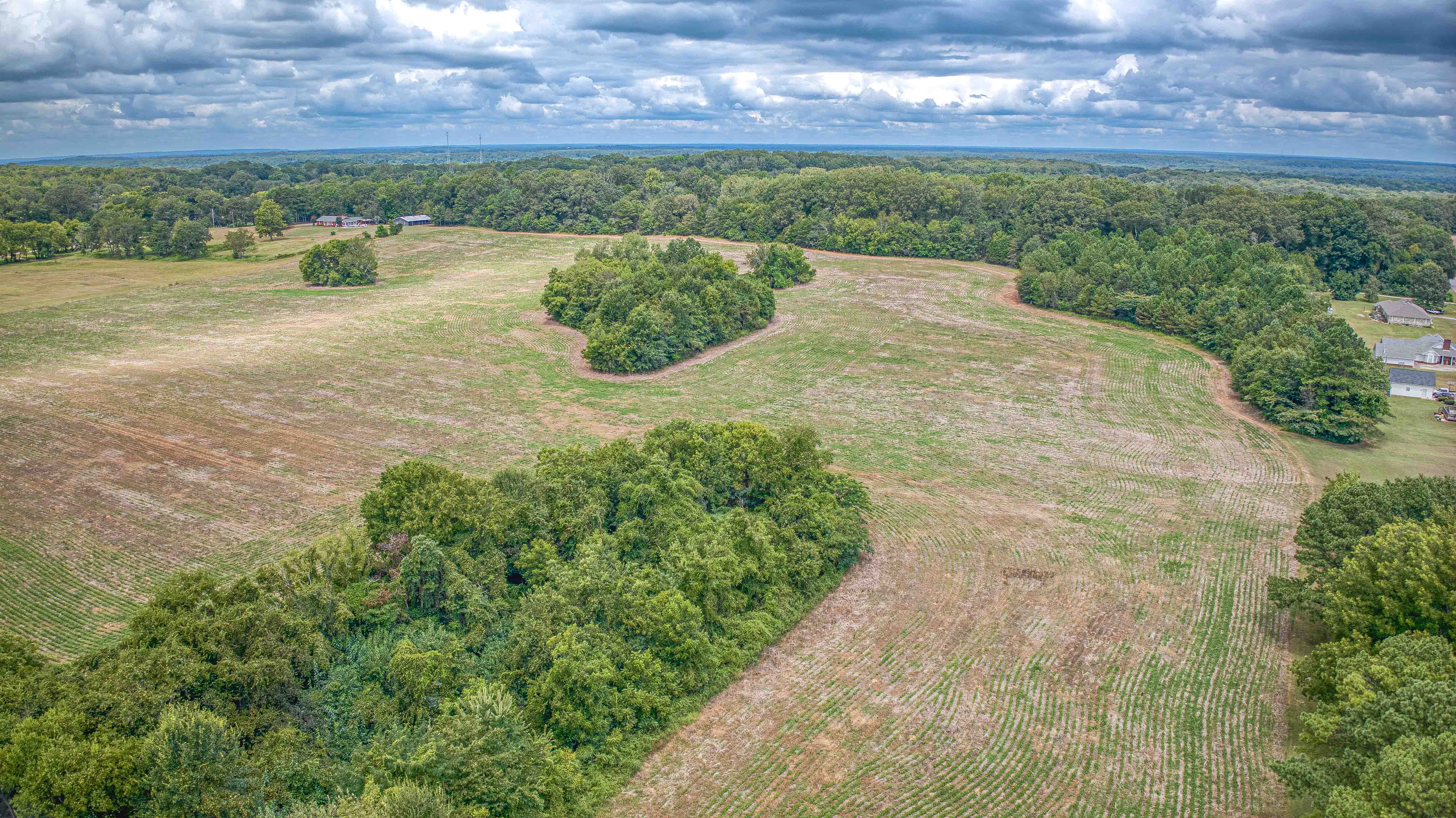 Tuscumbia, Alabama, 35674, United States, ,Land,For Sale,1976669