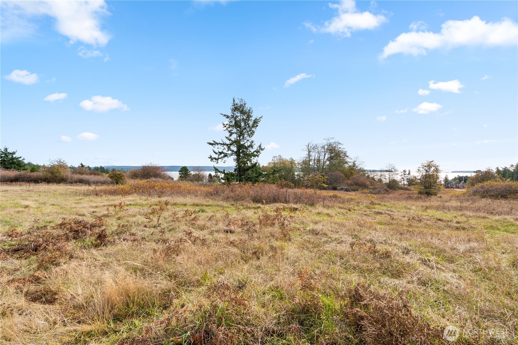 Friday Harbor, Washington, 98250, United States, ,Land,For Sale,1991931