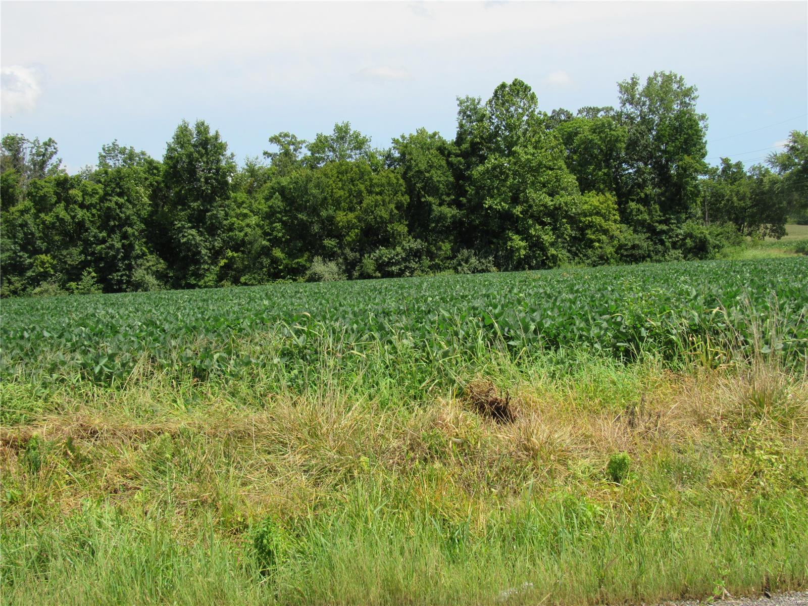 0 Wood Station Road, Alton, Illinois, 62002, United States, ,Residential,For Sale,0 Wood Station Road,1595953