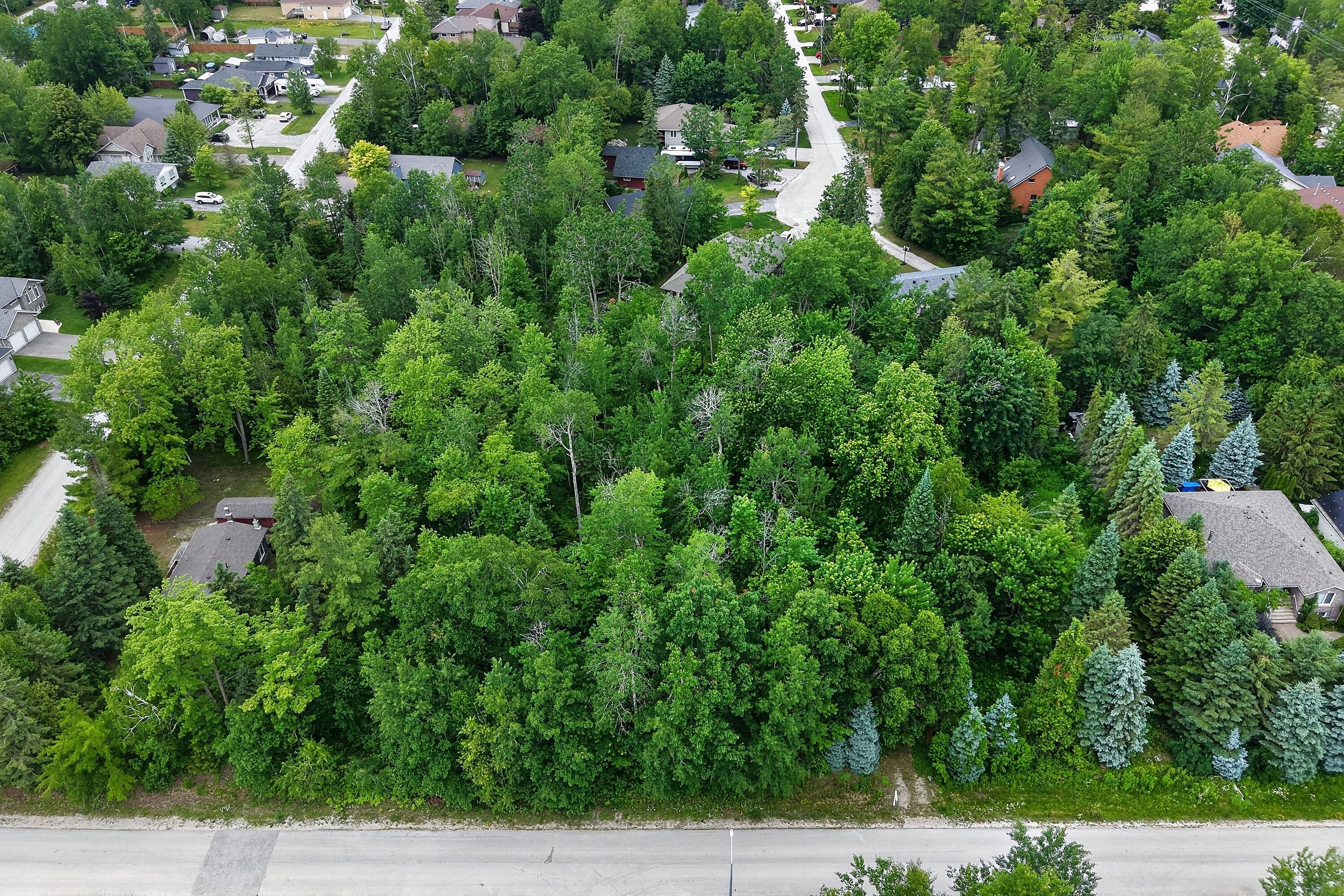  Residential Building Lot - 物件實景