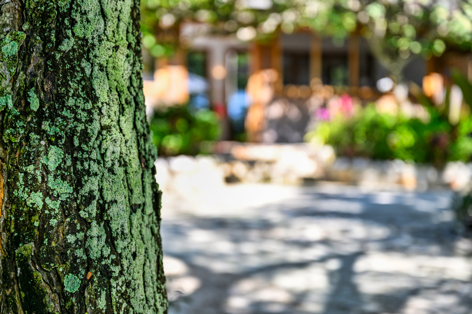  Lucky House - 物件實景