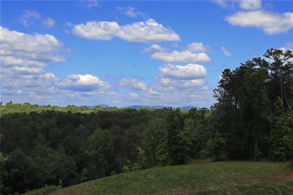 Ellijay, Georgia, 30540, United States, ,Residential,For Sale,1881390