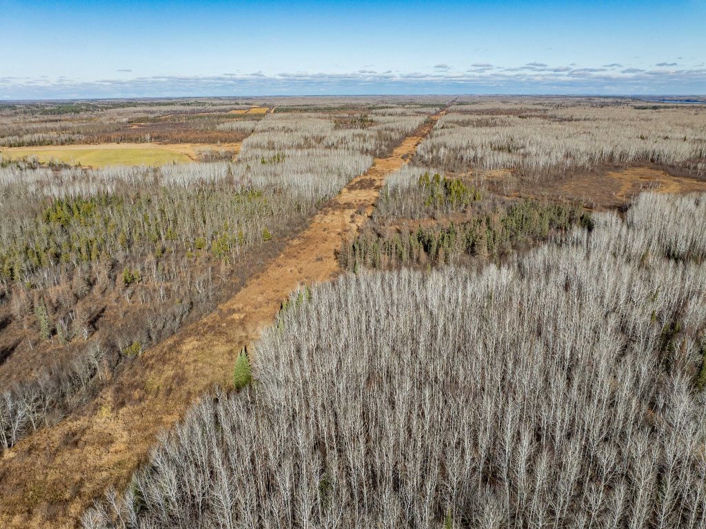 Grand Rapids, Minnesota, 55744, United States, ,Land,For Sale,1983791