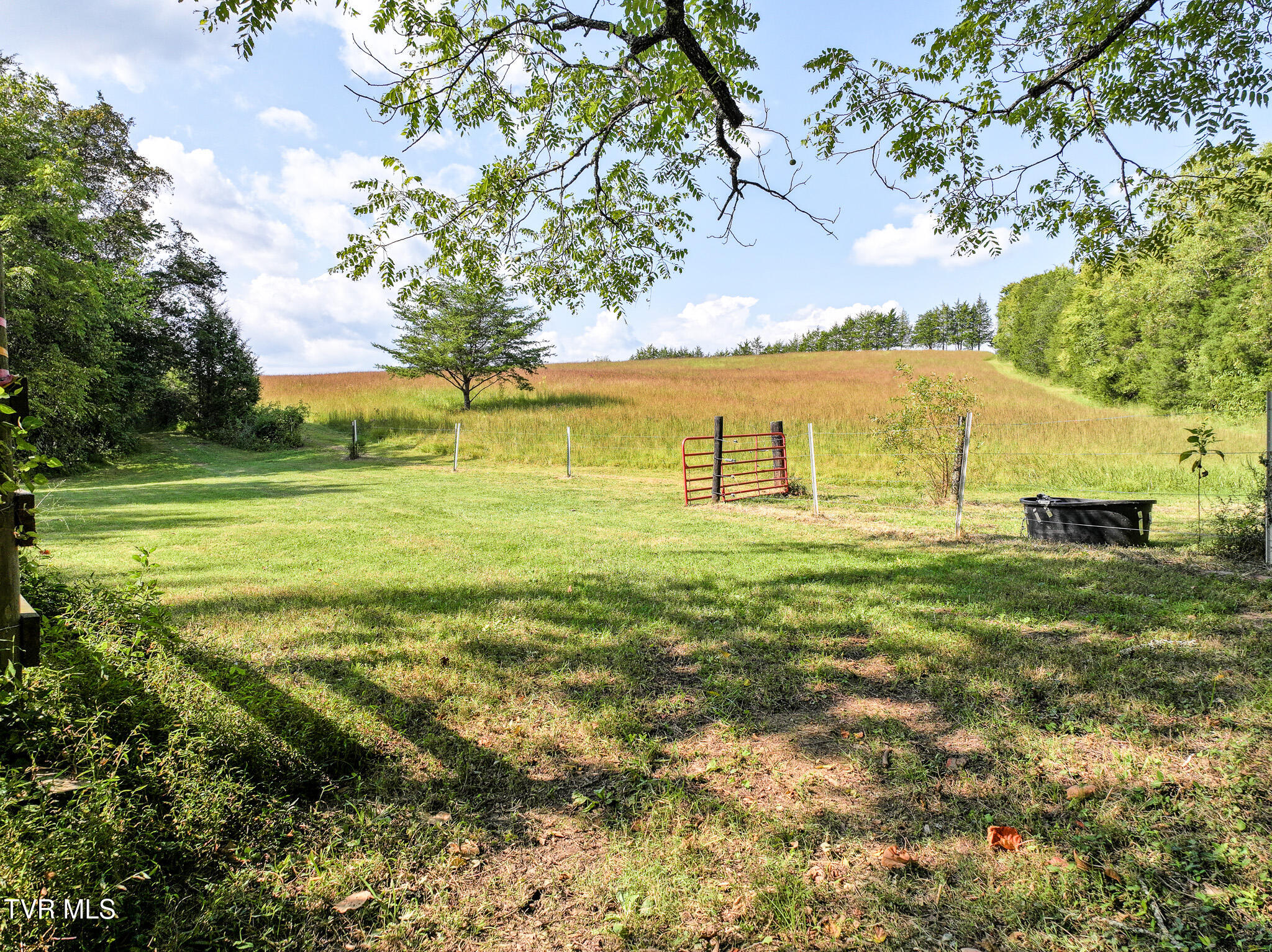 Greeneville, Tennessee, 37745, United States, 3 Bedrooms Bedrooms, ,3 BathroomsBathrooms,Residential,For Sale,2039547