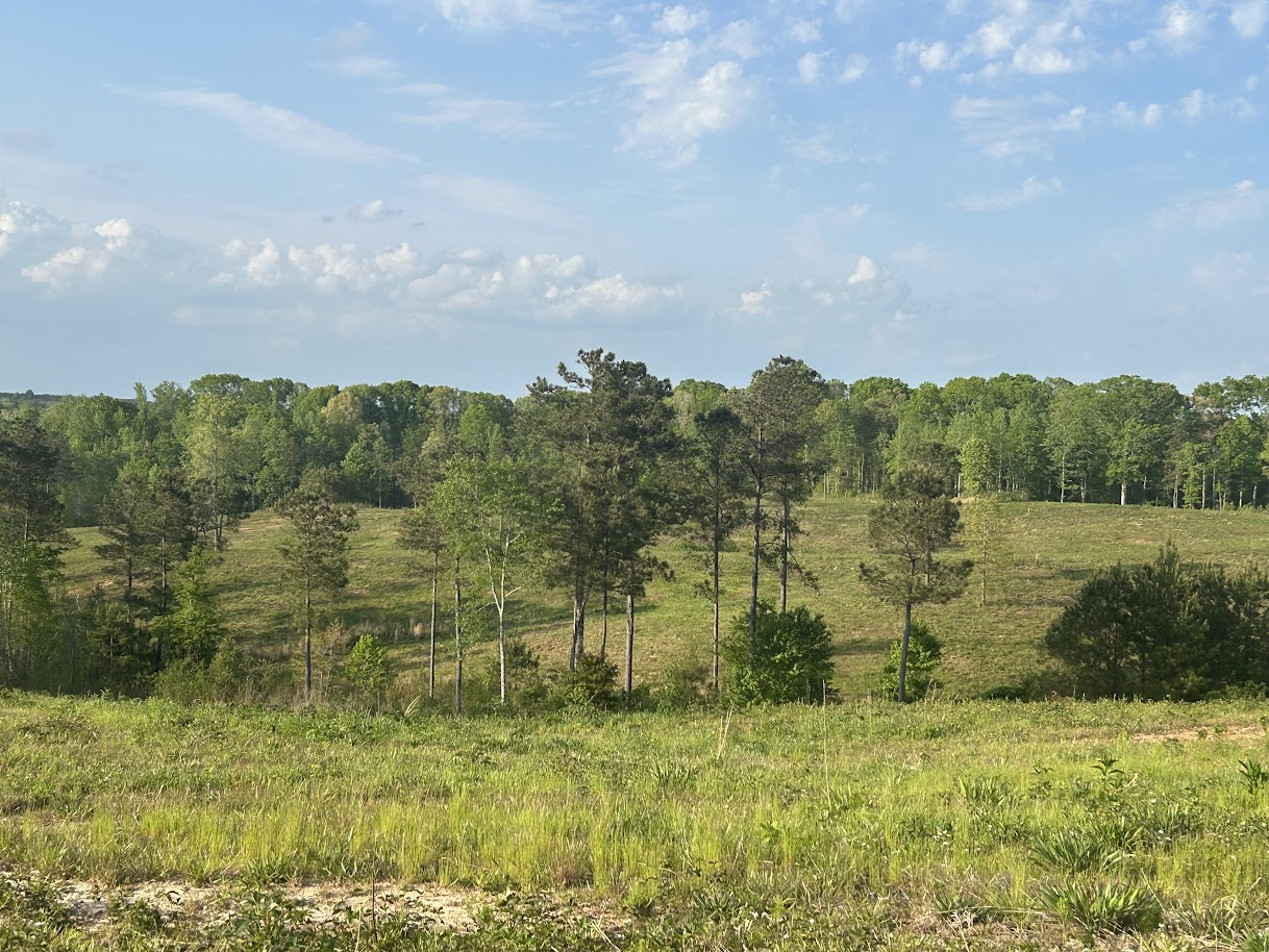 Roopville, Georgia, 30170, United States, ,Residential,For Sale,1780793