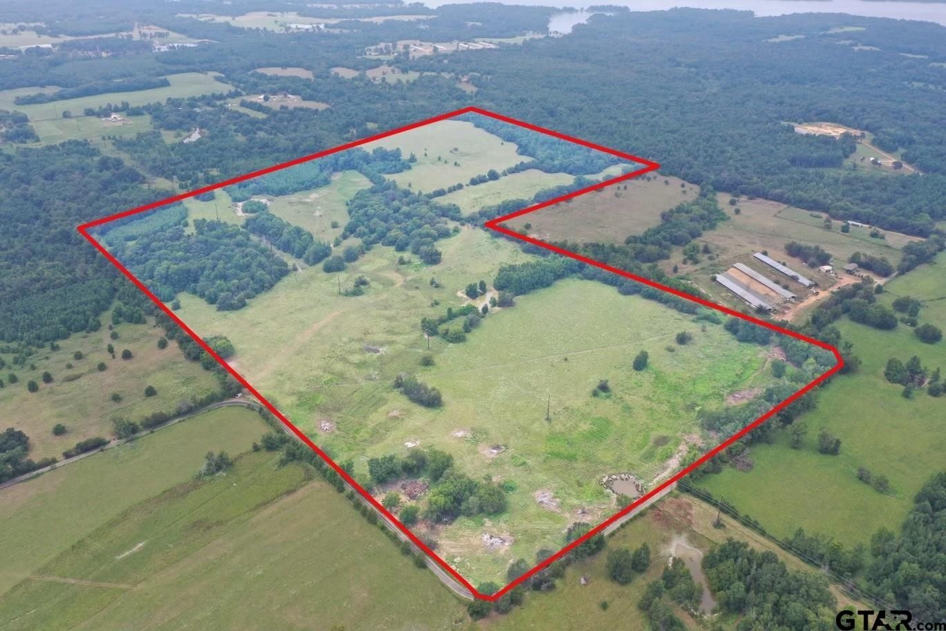 Pittsburg, Texas, 75686, United States, ,Land,For Sale,1976624