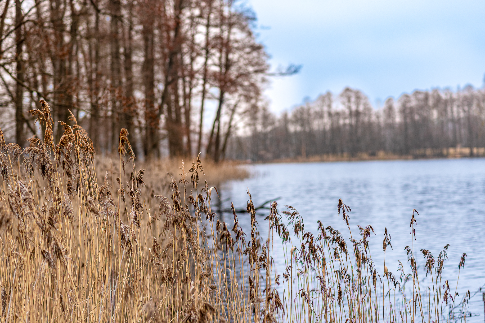  A spacious lakeshore residence near Druskininkai - 物件實景