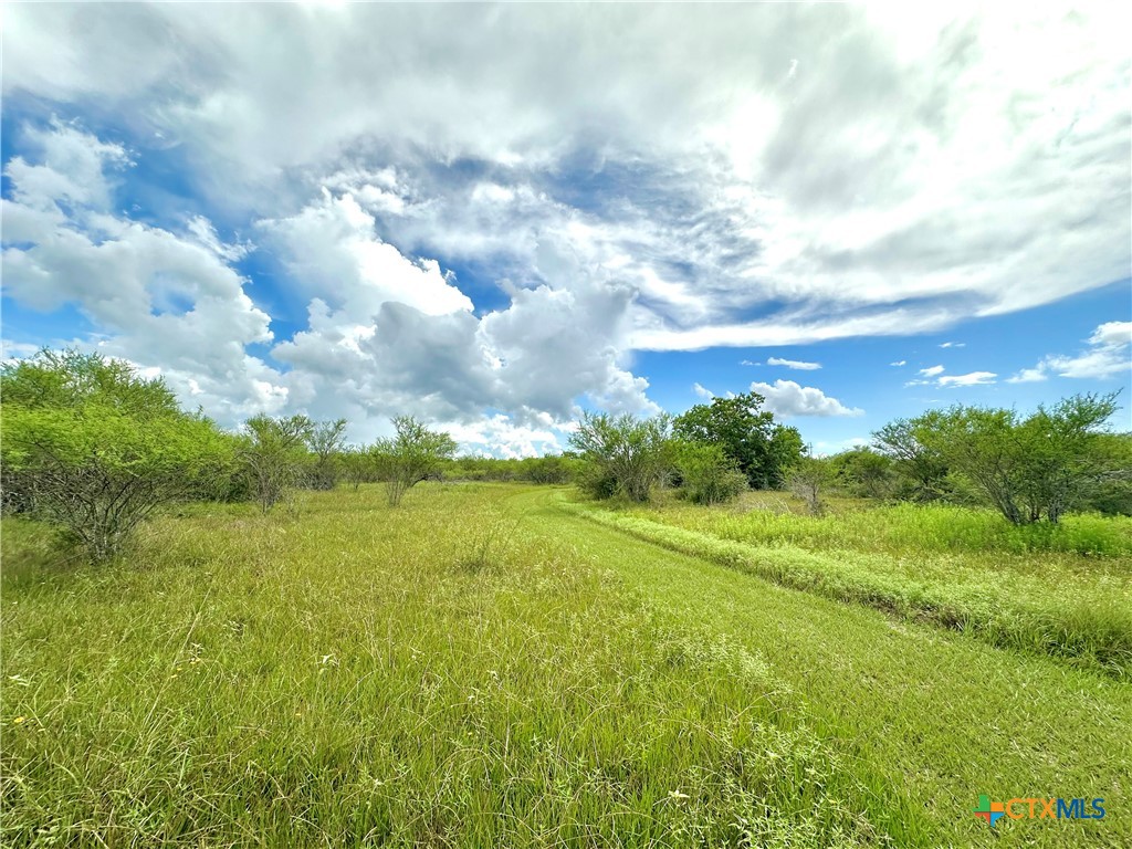 Nursery, Texas, 77976, United States, ,Land,For Sale,1885536