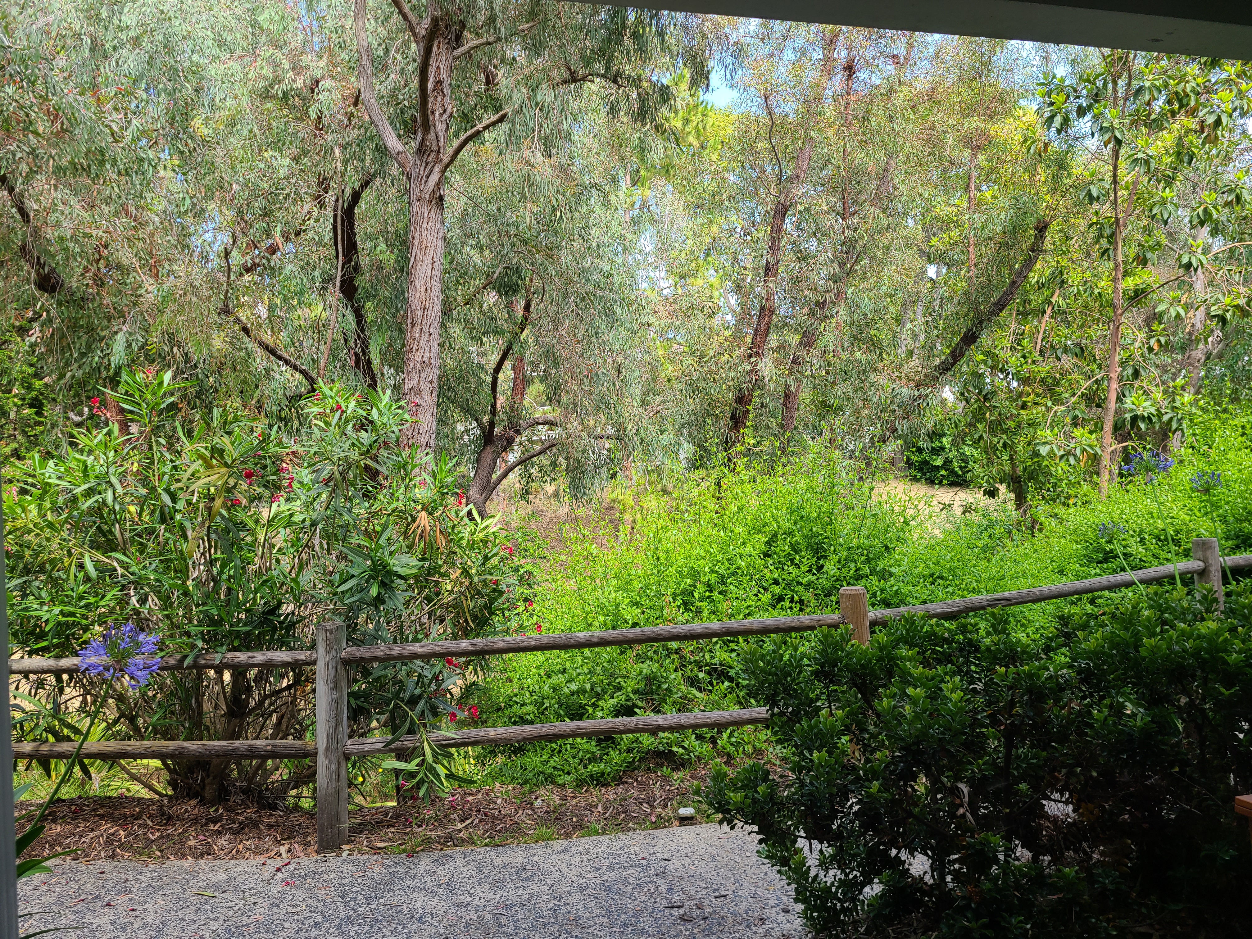 Goleta, California, 93117, United States, 1 Bedroom Bedrooms, ,1 BathroomBathrooms,Residential,For Sale,1868598