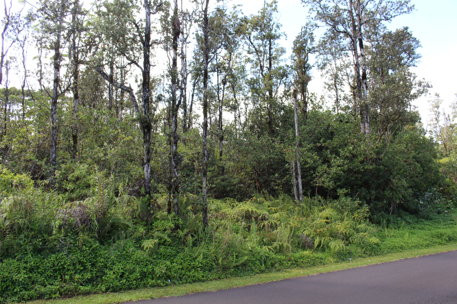 Keaau, Hawaii, 96749, United States, ,Land,For Sale,1977941