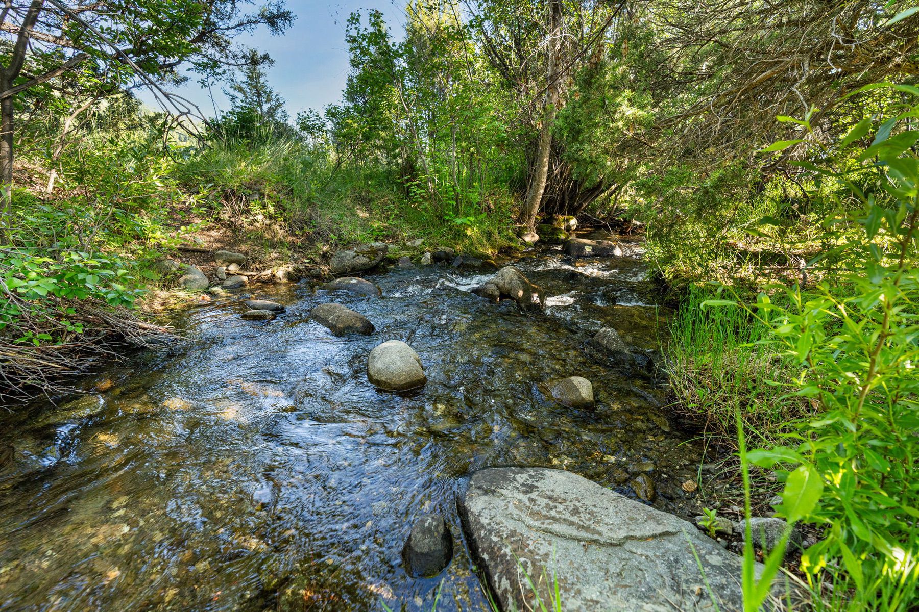  1580 Evan Reese Creek Rd - 物件實景