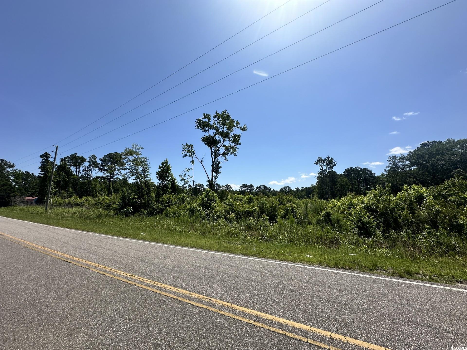 Longs, South Carolina, 29568, United States, ,Land,For Sale,1976577