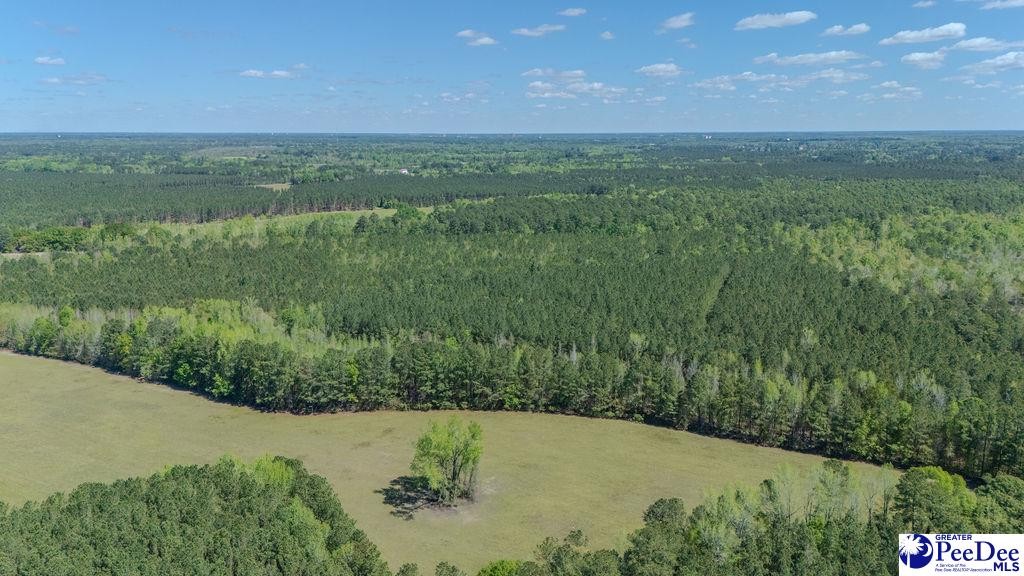 1315 Hill Harrell Road, Effingham, South Carolina, 29541-3179, United States, ,Land,For Sale,1315 Hill Harrell Road,1501598