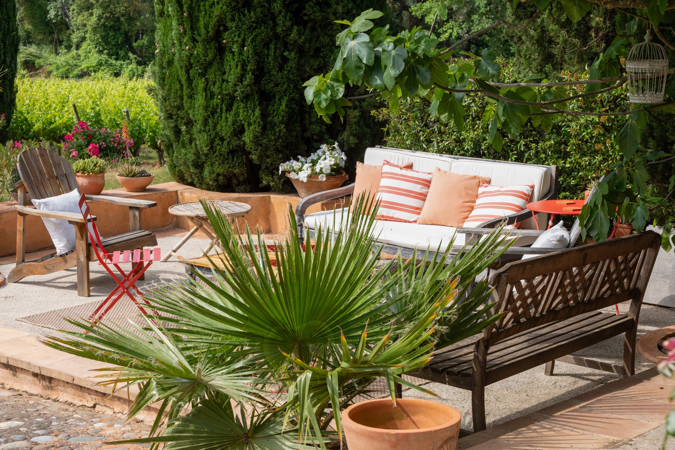  Charming Wine Estate in the Heart of Provence - 物件實景