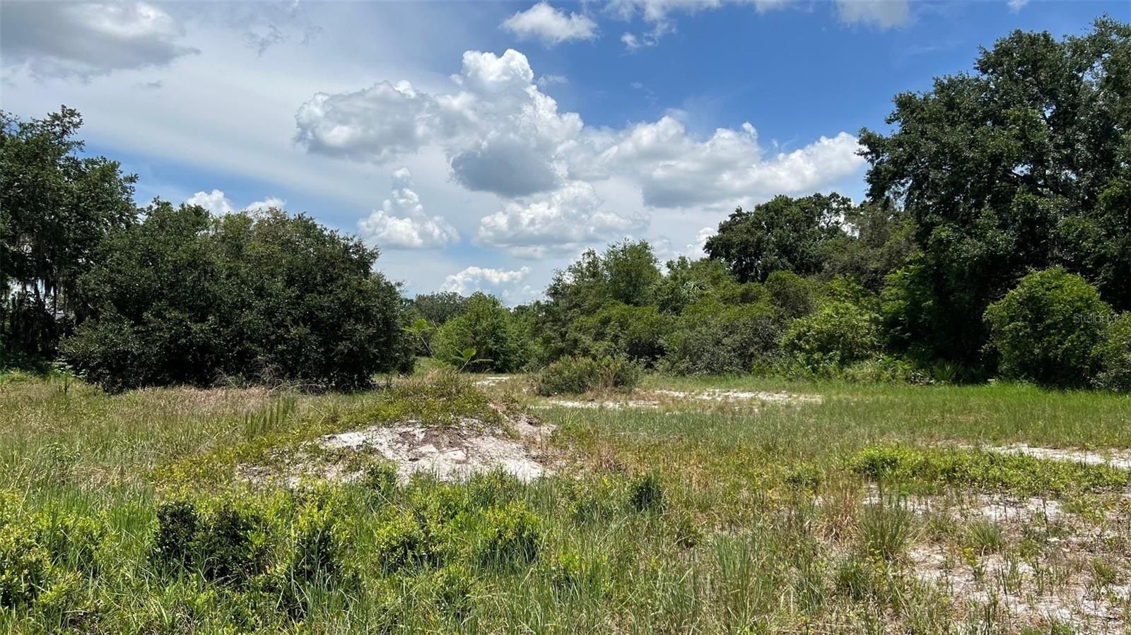 AUBURNDALE, Florida, 33823, United States, ,Land,For Sale,1977523
