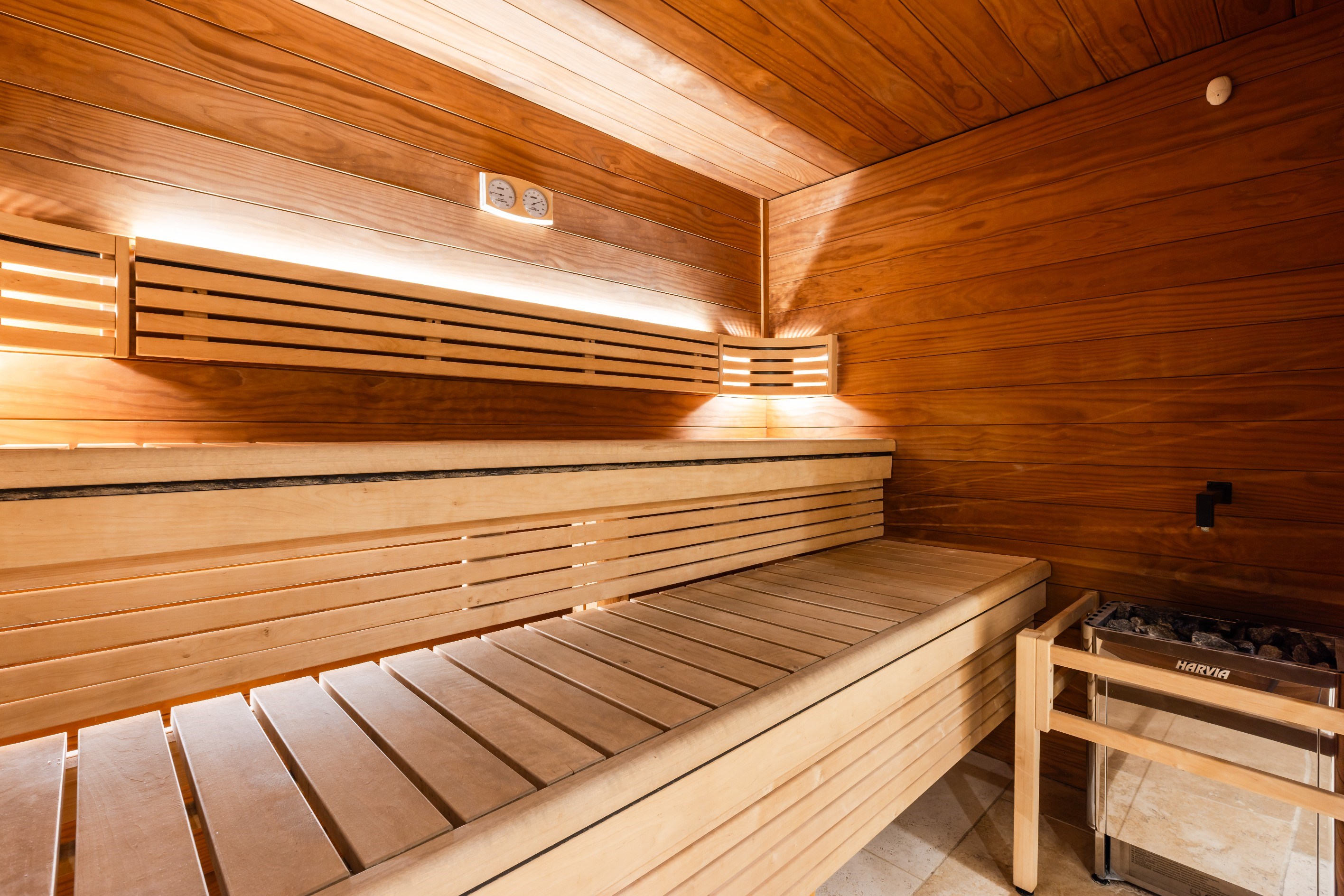  Chalet Alpage – Comprising three apartments in the heart of Villard-Reculas - 物件實景