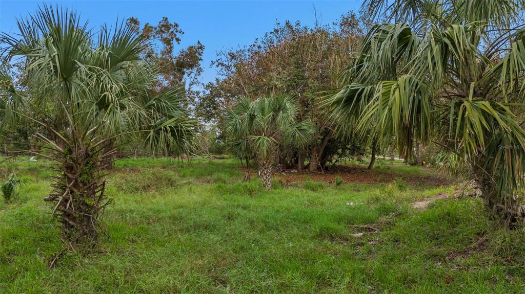 Punta Gorda, Florida, 33950, United States, ,Land,For Sale,1714324