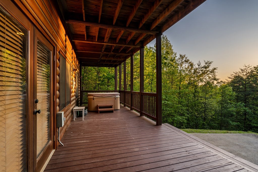 Mineral Bluff, Georgia, 30559, United States, 3 Bedrooms Bedrooms, ,3 BathroomsBathrooms,Residential,For Sale,1986292