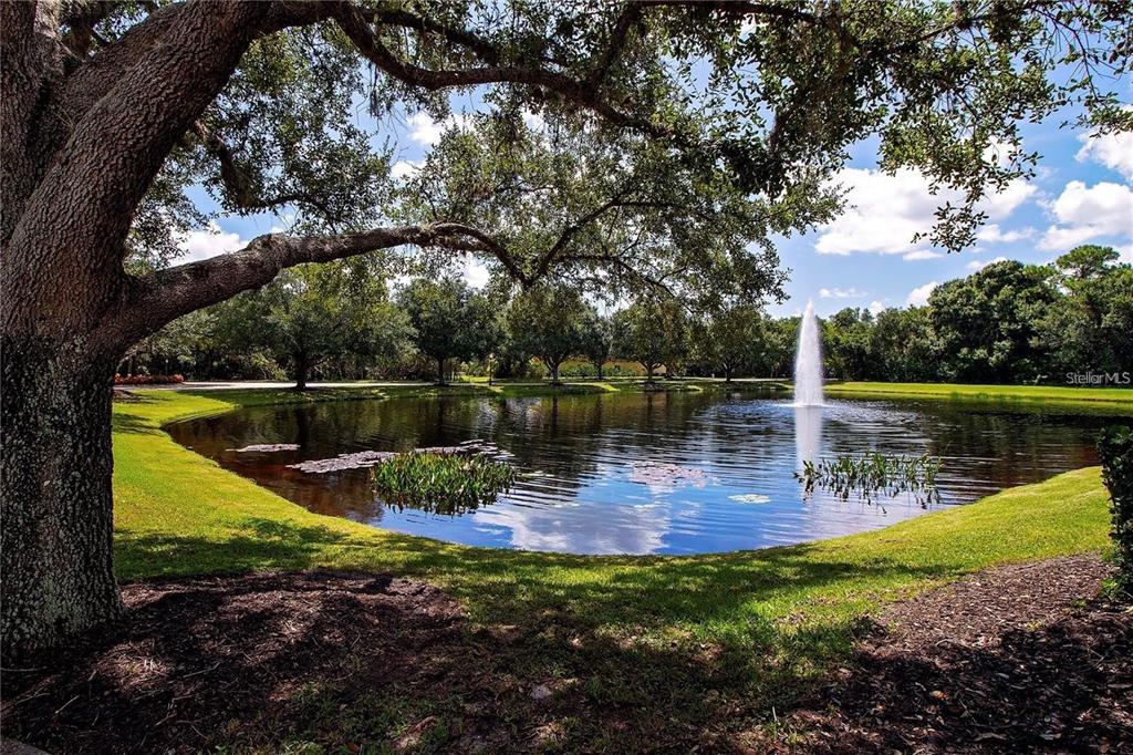 Bradenton, Florida, 34212, United States, 4 Bedrooms Bedrooms, ,5 BathroomsBathrooms,Residential,For Sale,1856587