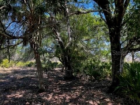 Punta Gorda, Florida, 33982, United States, ,Land,For Sale,1840783
