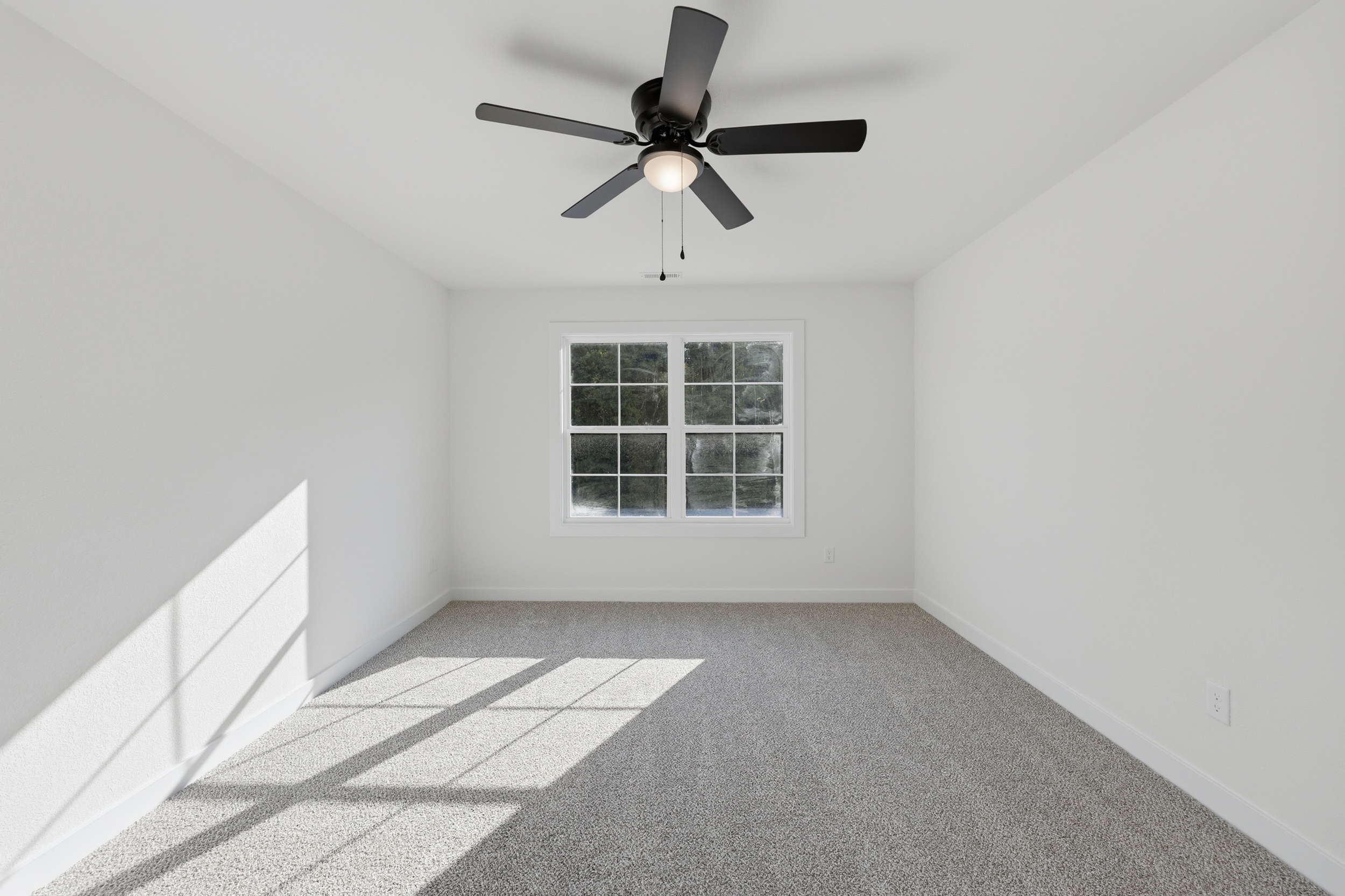  596 Ownley Road, Elizabeth City, NC, 27909 - 物件實景