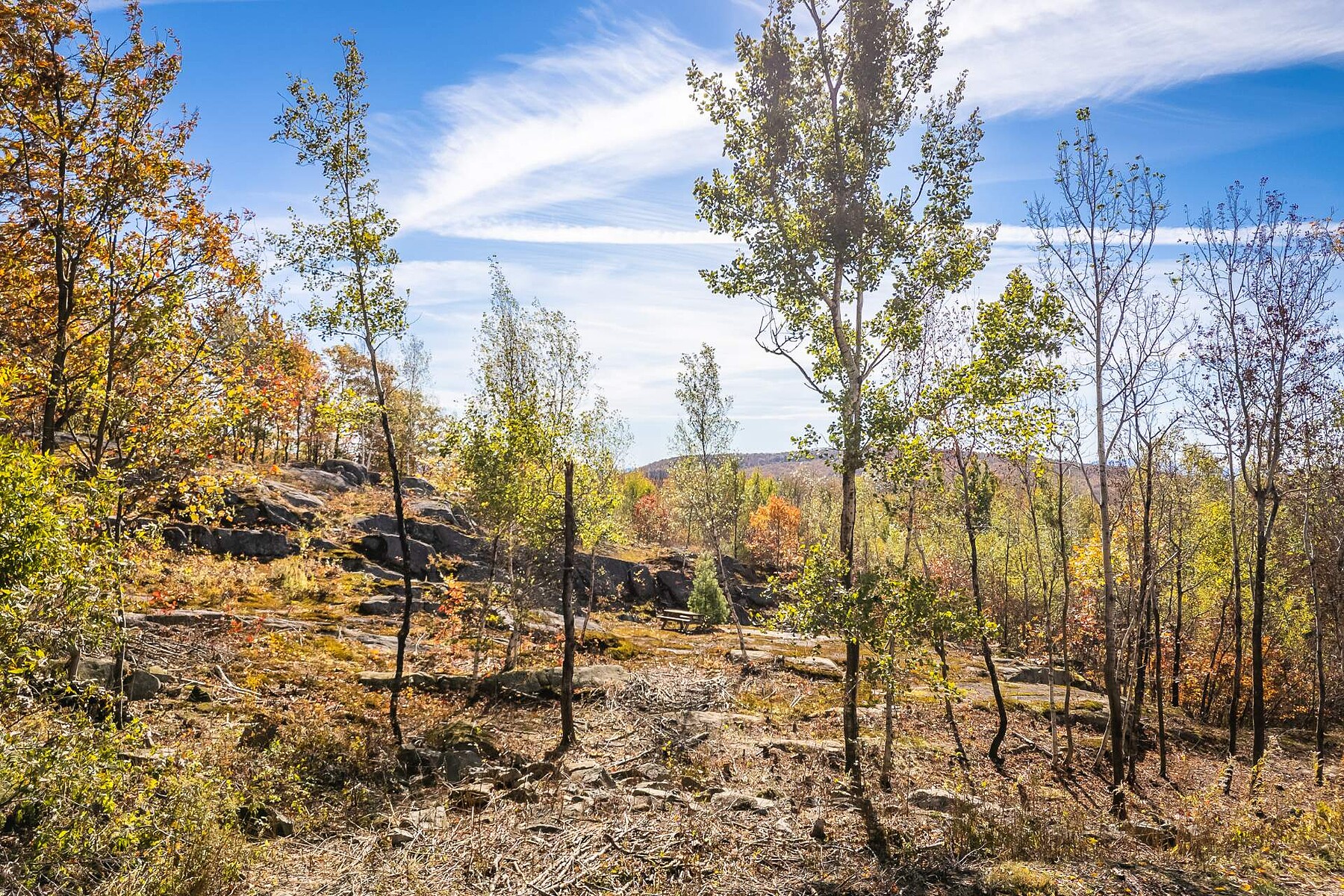 Shefford, Eastern Townships - 物件實景