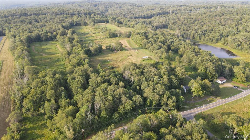 Monticello, New York, 12701, United States, ,Land,For Sale,1979428