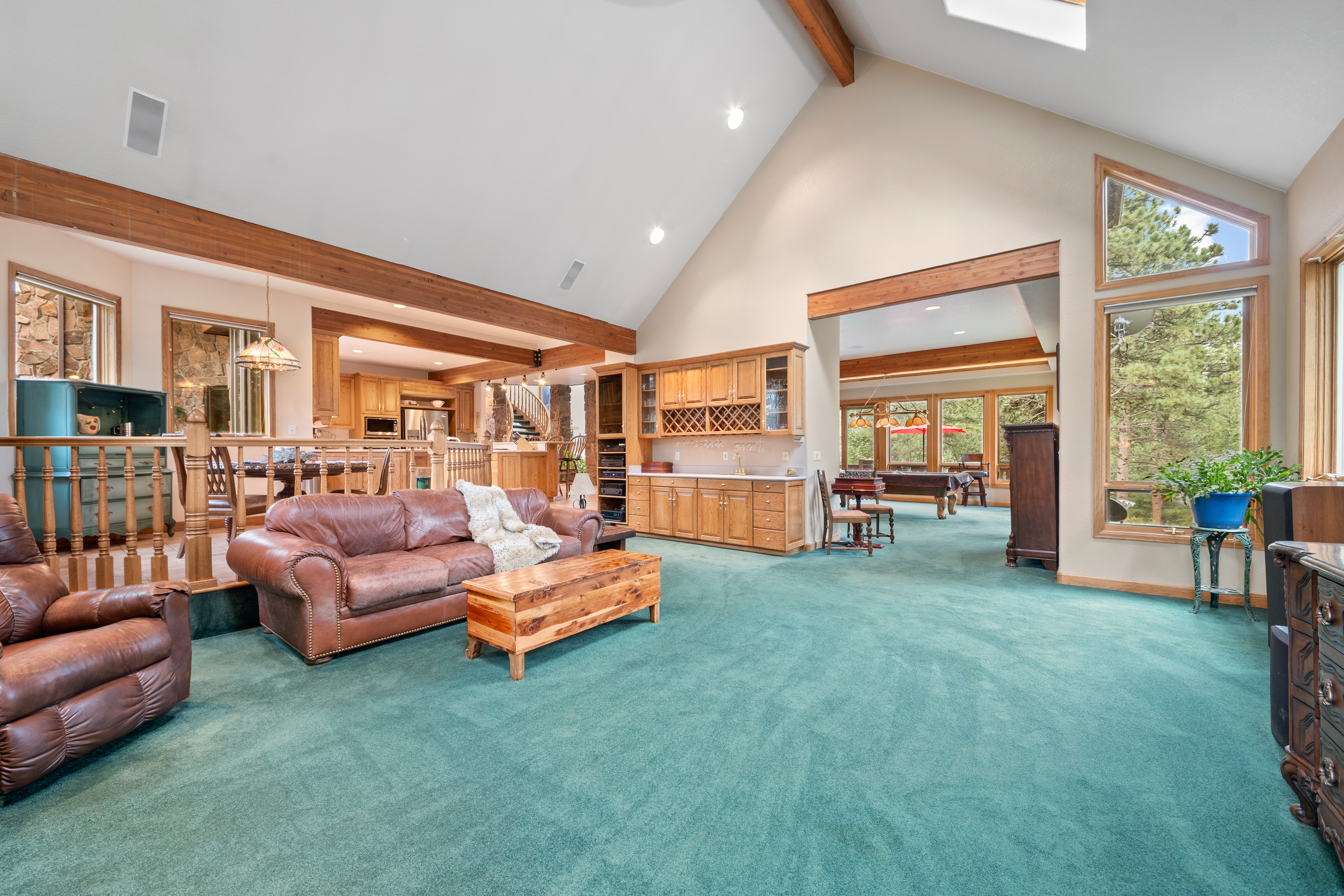  Perfect Blend of Space and Colorado Living That Backs to Pike National Forest - 物件實景