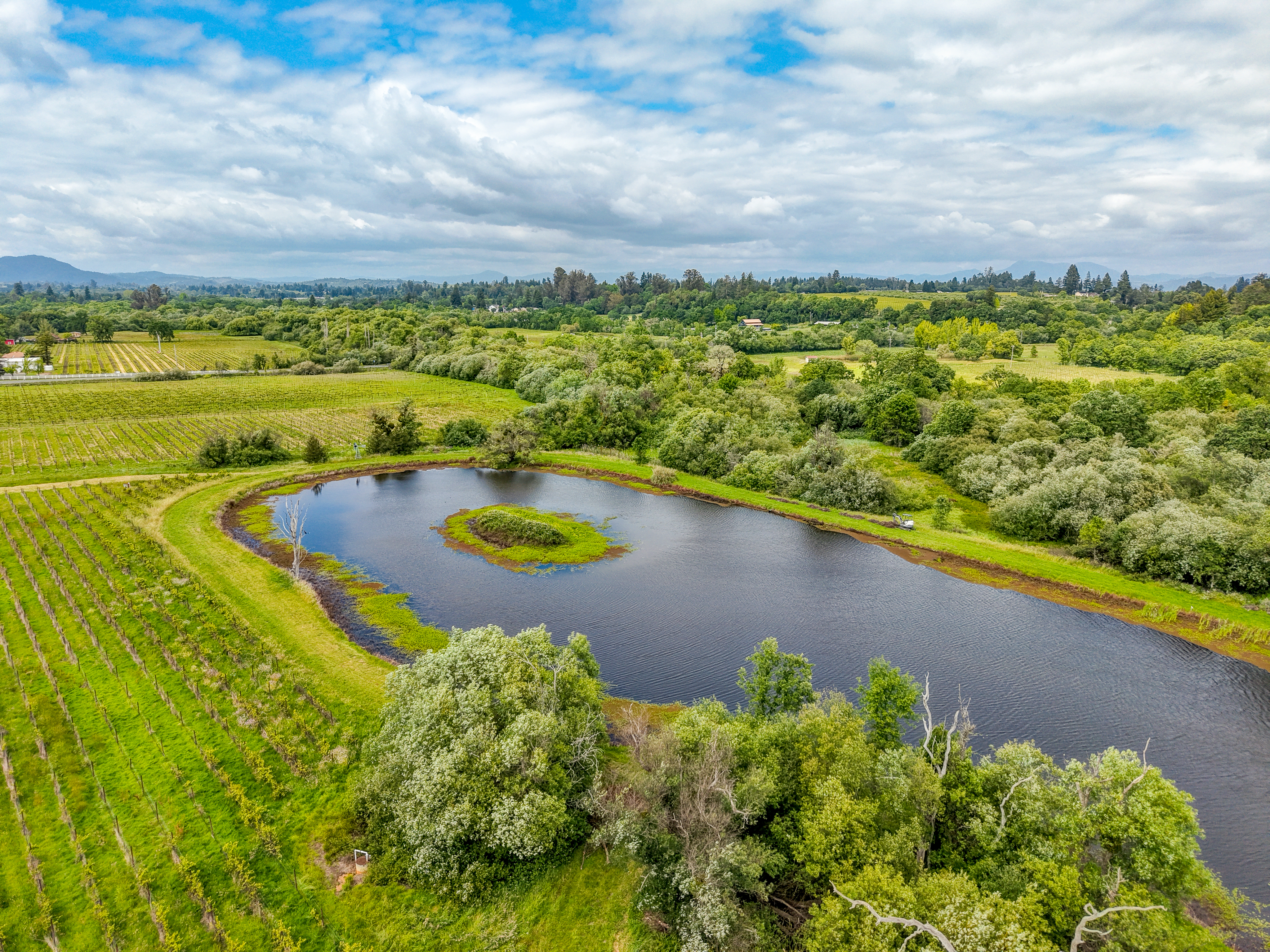  9700 Mill Station Road, Sebastopol, CA 95472 - 物件實景