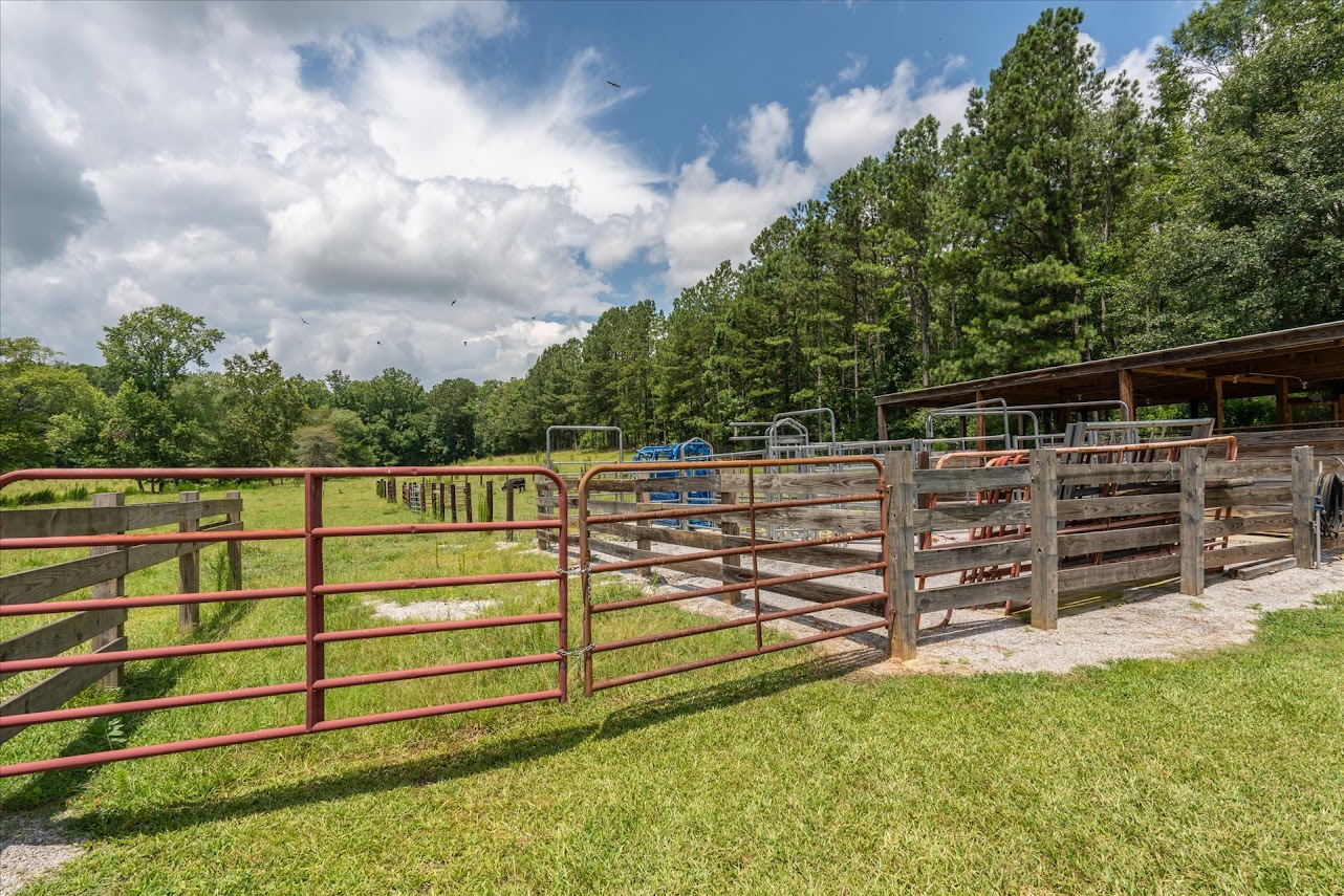 Heflin, Alabama, 36264, United States, ,Land,For Sale,1981342