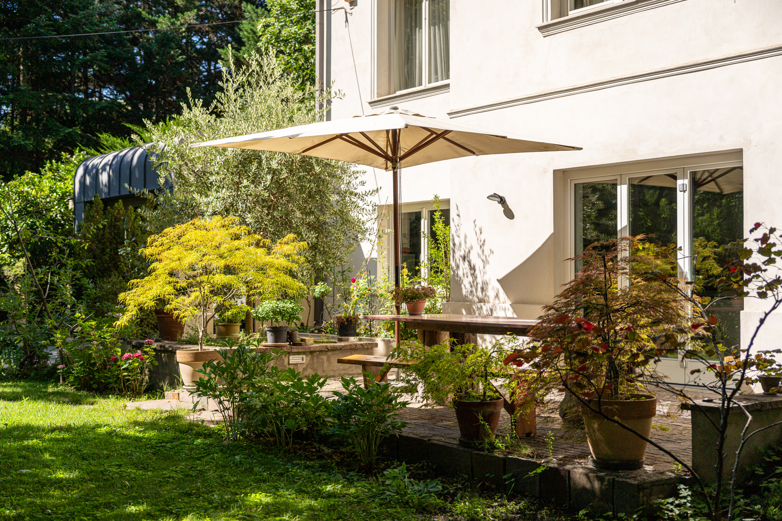  Timeless Villa Estate in the Heart of Buda - 物件實景