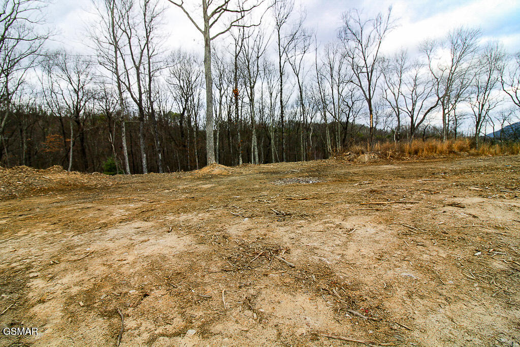 Sevierville, Tennessee, 37876, United States, ,Land,For Sale,2008093
